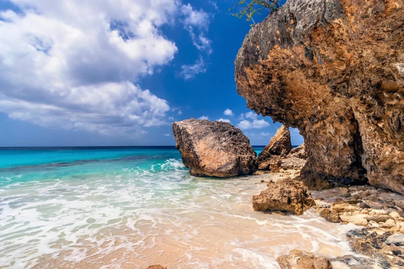 Bonaire, Savored Slow: Cactus Liqueur, Caviar, Donkeys and Shore Diving