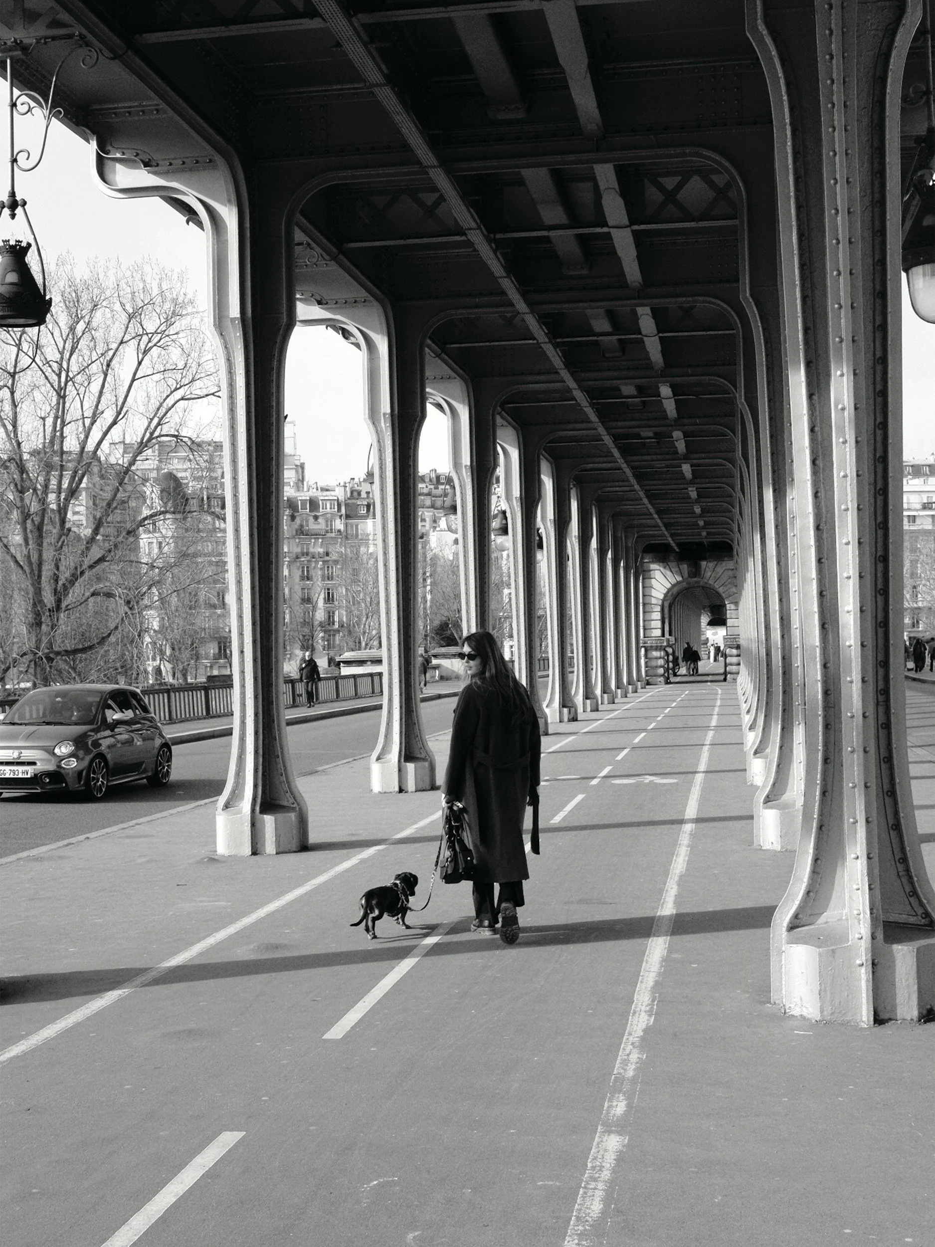 A woman walking her dog along a city street under a large metal bridge with decorative columns, leafless trees, and city buildings in the background.