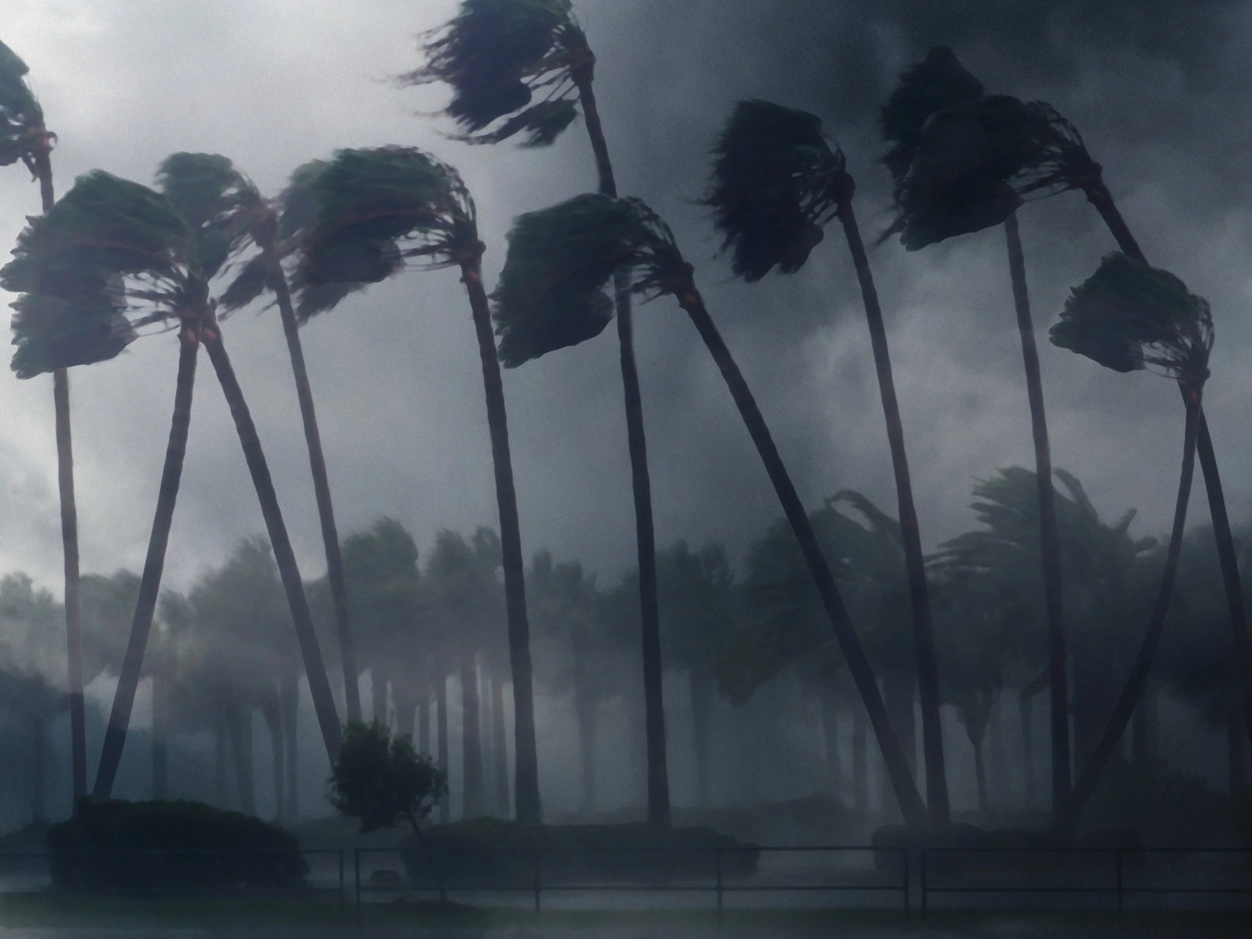 Hurricane Damage to Your Dock? How to Know Whether to Repair, Resurface or Replace It