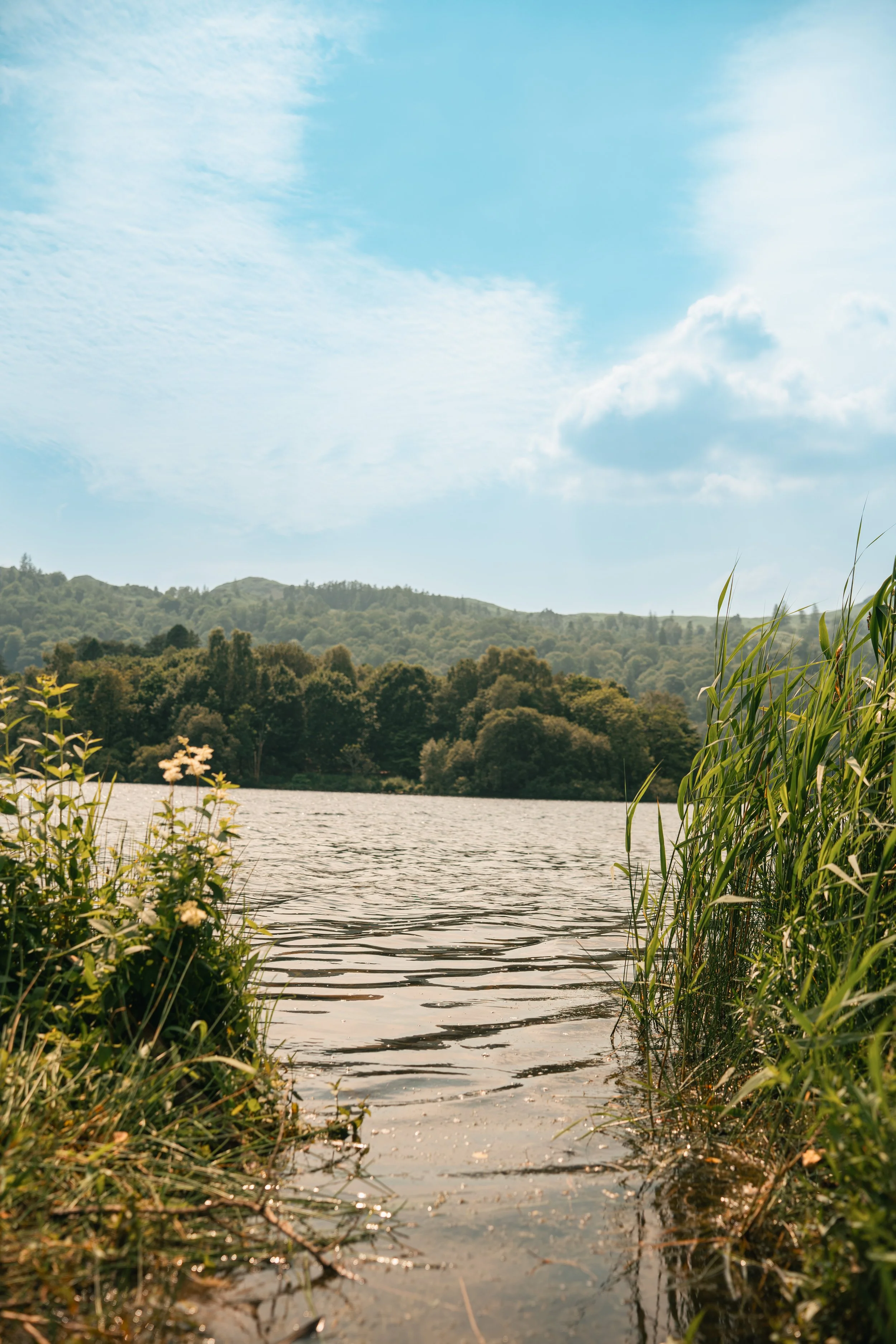 View of a calm river with green shoreline on both sides, few trees and bushes, under a partly cloudy blue sky.