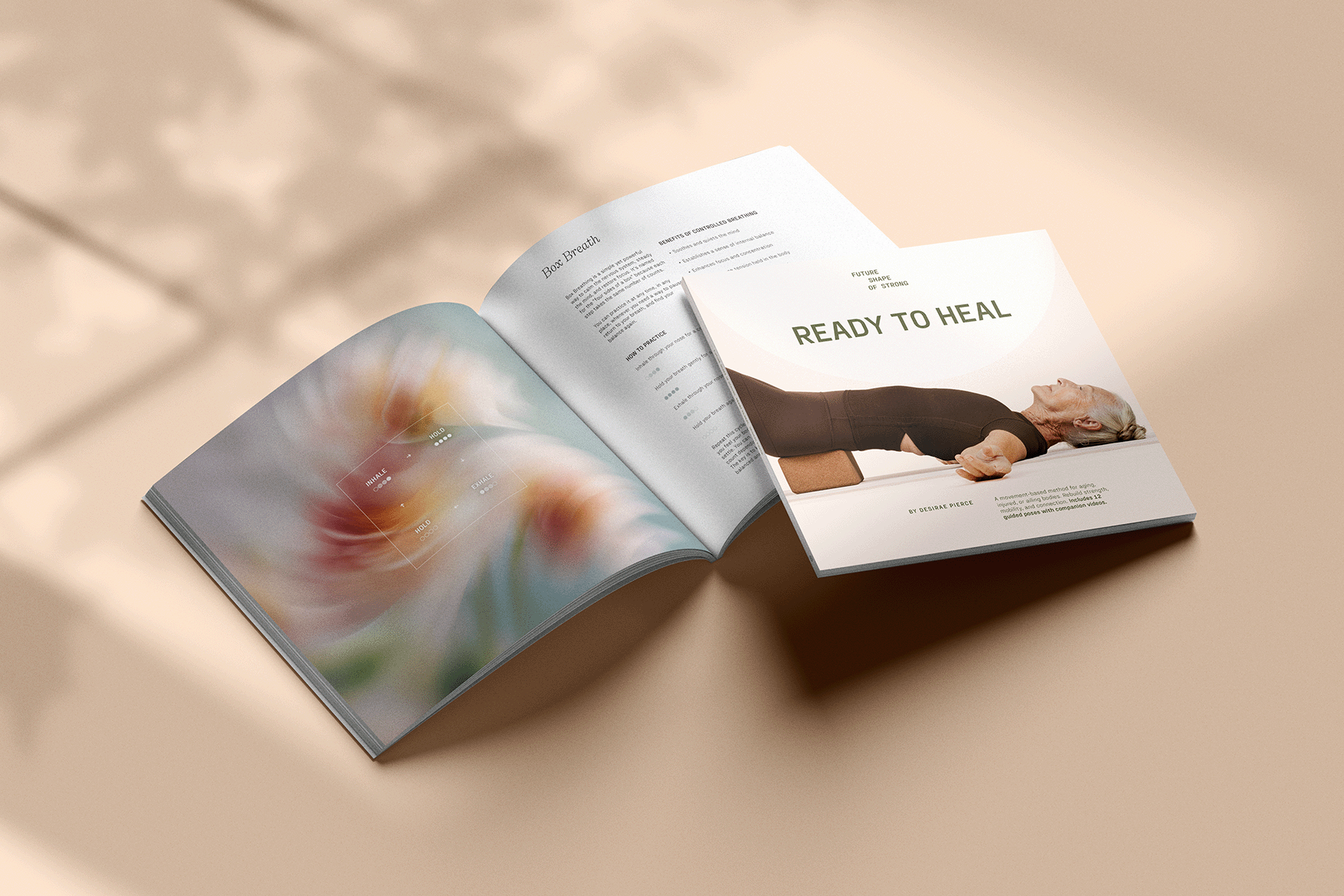 Wholesale (10 Books) : Ready to Heal
