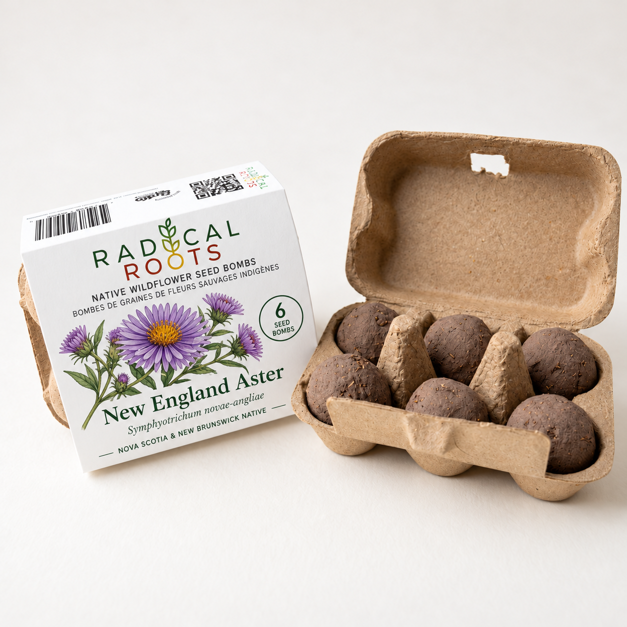 New England Aster Seed Bombs — Nova Scotia & New Brunswick