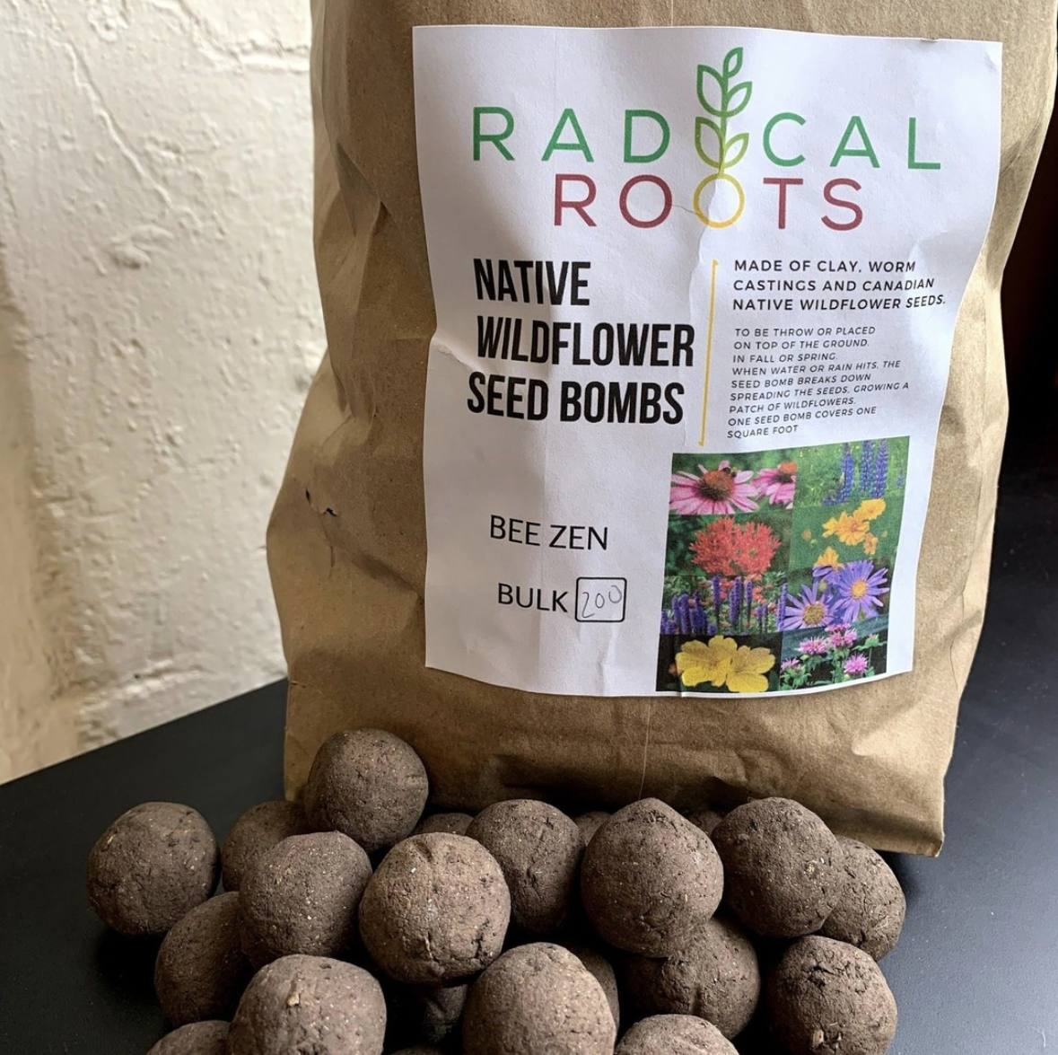 Bulk Seed Bombs - 100 Pack