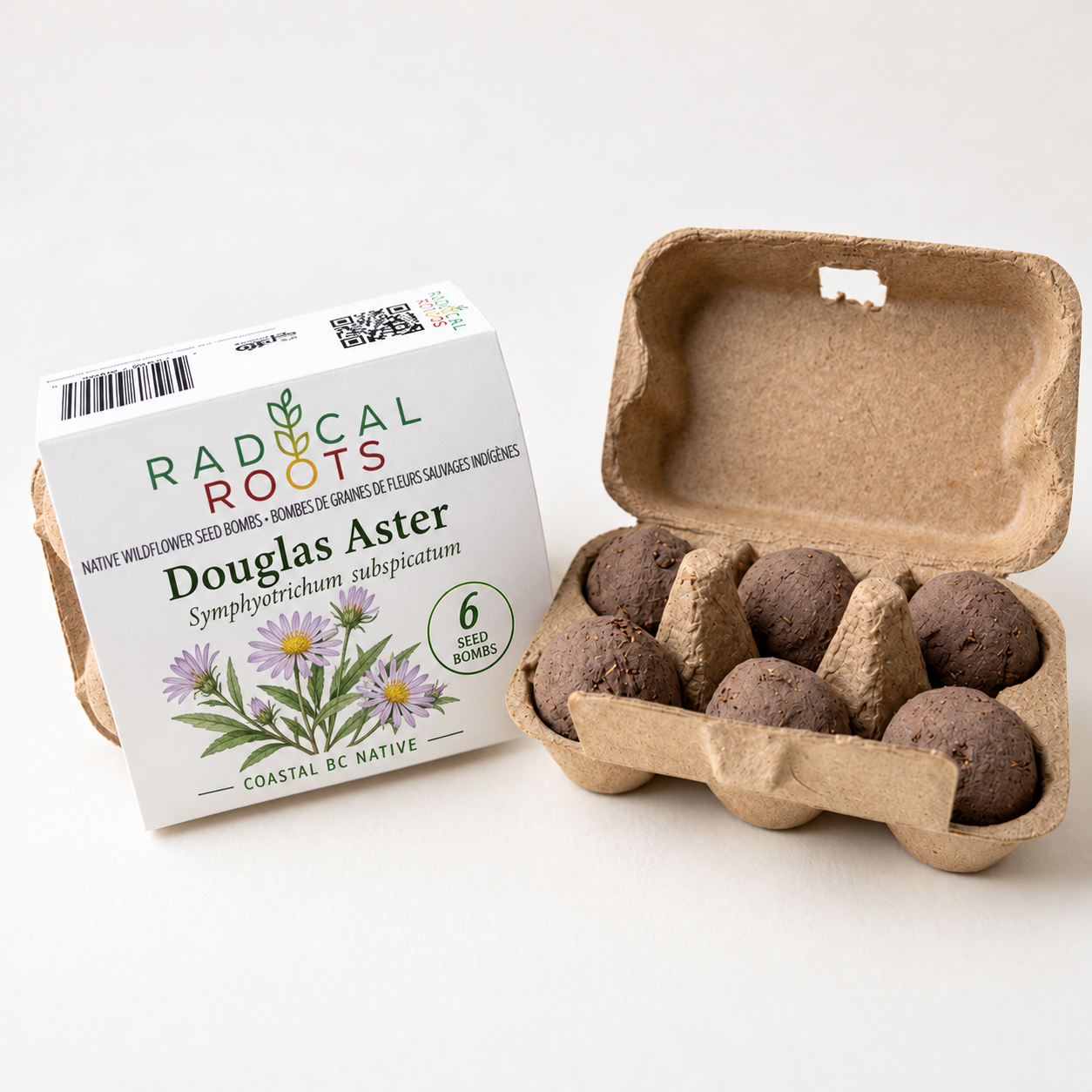 Douglas Aster Seed Bombs — Coastal BC Native Wildflower