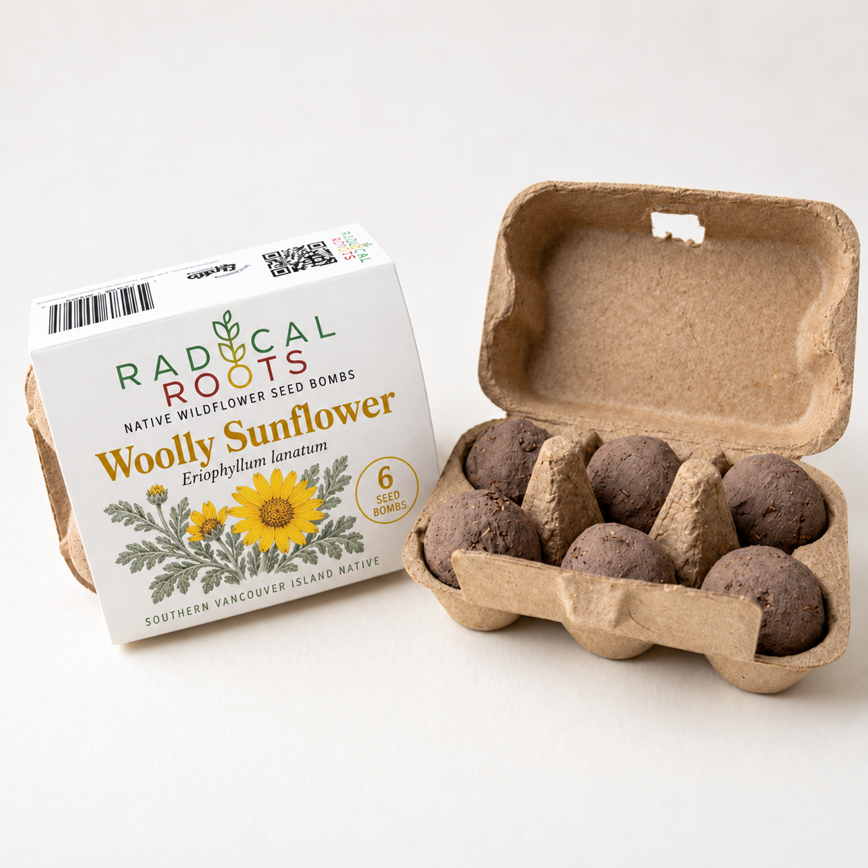 Woolly Sunflower Seed Bombs — Vancouver Island Native Wildflower