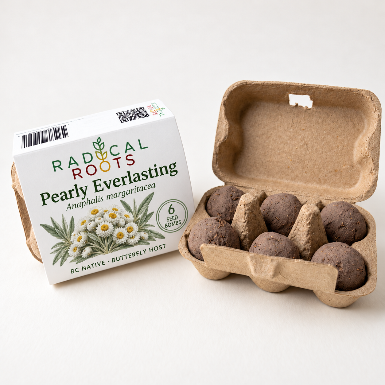 Pearly Everlasting Seed Bombs — BC Native Butterfly Host
