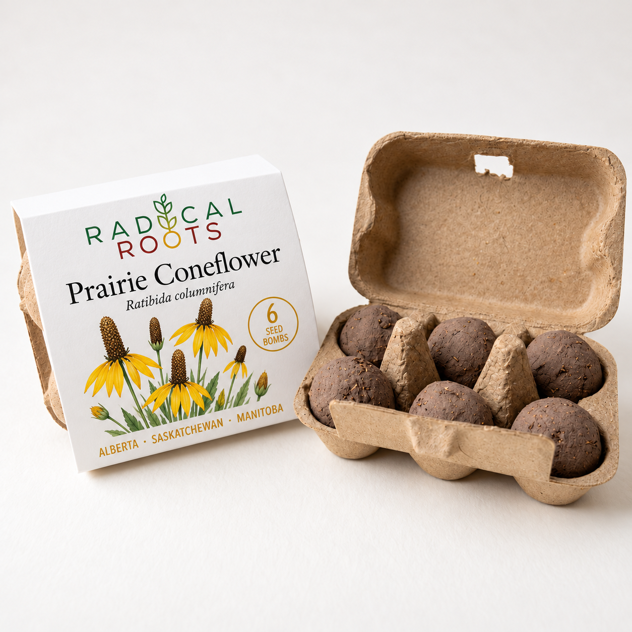 Prairie Coneflower Seed Bombs — Alberta, Saskatchewan & Manitoba