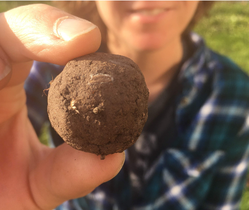 Person holding a small, round, seed bomb outdoors, with a blurred background and smiling face.