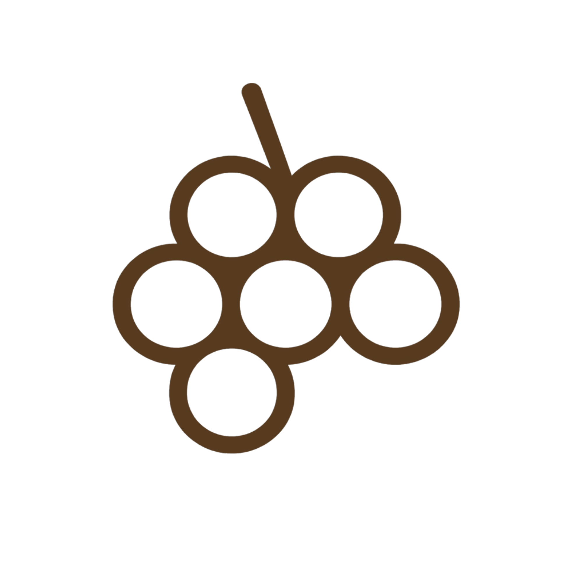 Simple illustration of purple grapes with a brown stem on a black background.