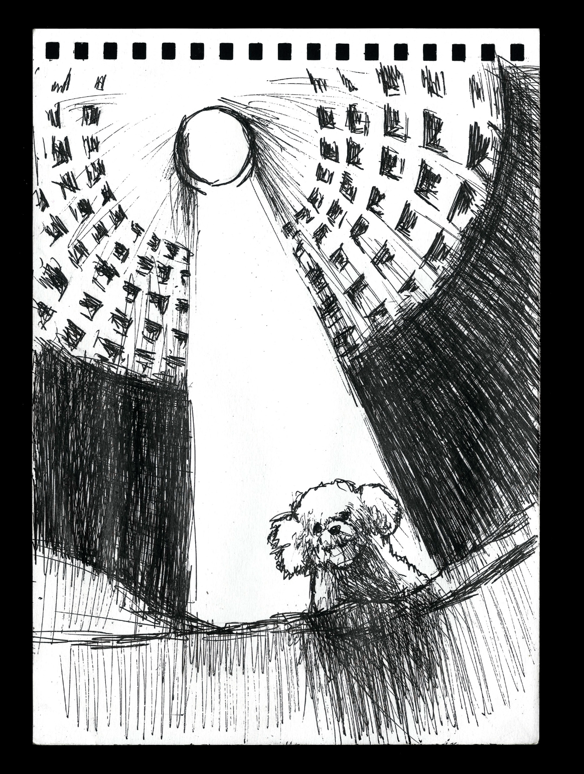 Dibujo en blanco y negro de un perro debajo de un tragaluz en el Pantheon romano