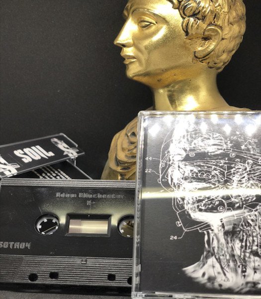A golden bust sculpture of a woman's head with curly hair, placed beside a clear cassette tape case with technical diagrams inside.