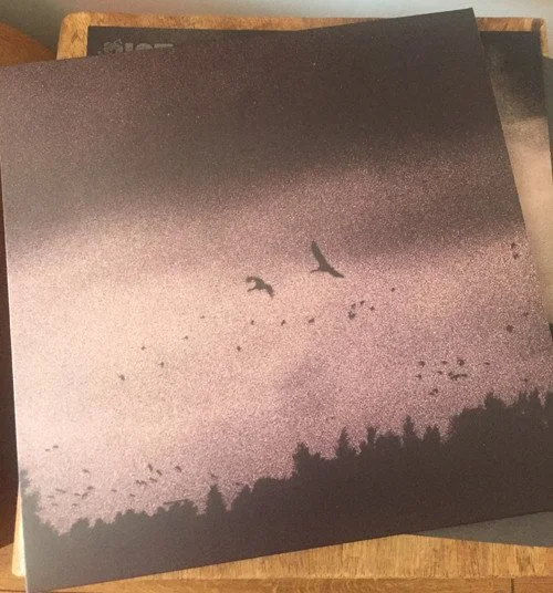 Silhouette of a forest with birds flying in the sky during sunset or sunrise.