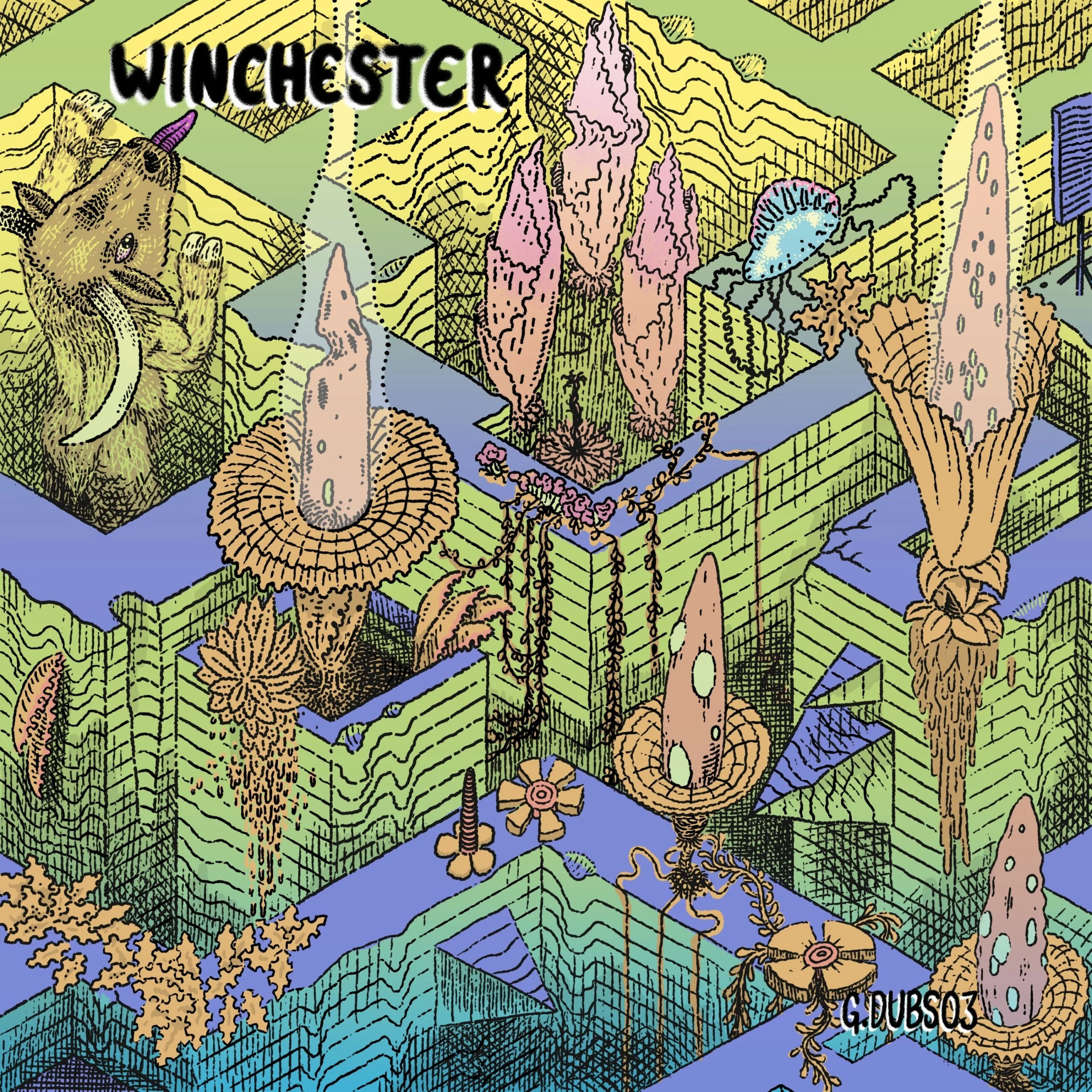 Colorful illustration of a fantasy landscape featuring topographical features, buildings, and fantastical creatures, with the word 'WINCHESTER' prominent at the top.