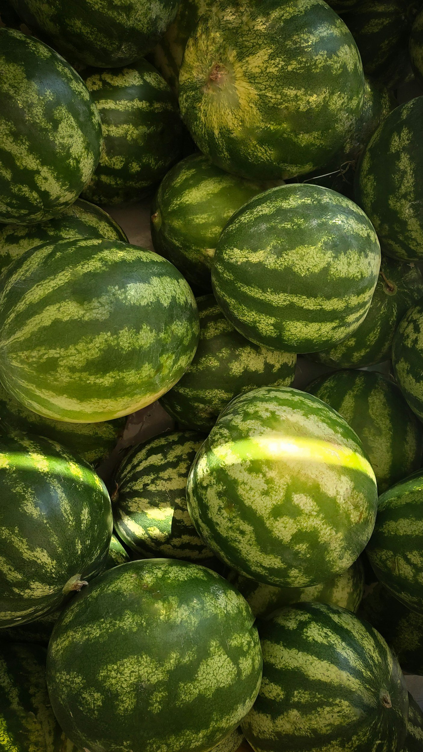 Multiple watermelons with dark green and light green striped skin stacked together.