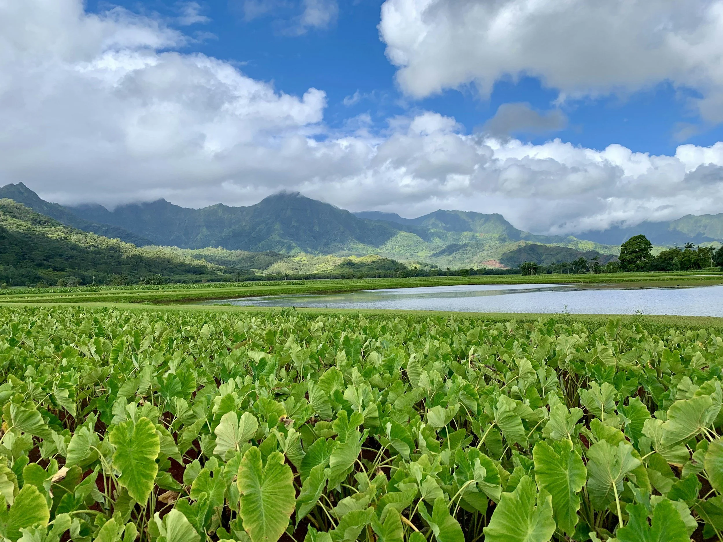 Lush green fields with a body of water, mountain range in the background, partly cloudy sky with patches of blue.