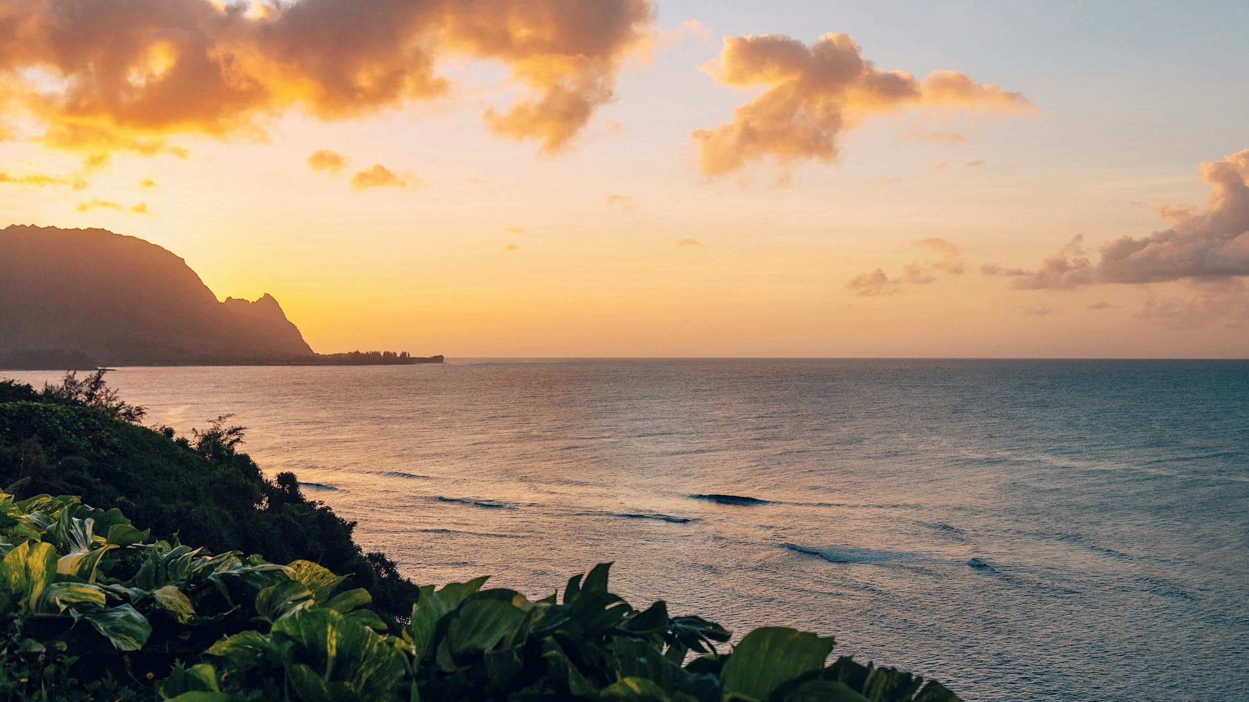 A scenic view of the ocean at sunset with a mountain on the left and lush green plants in the foreground.