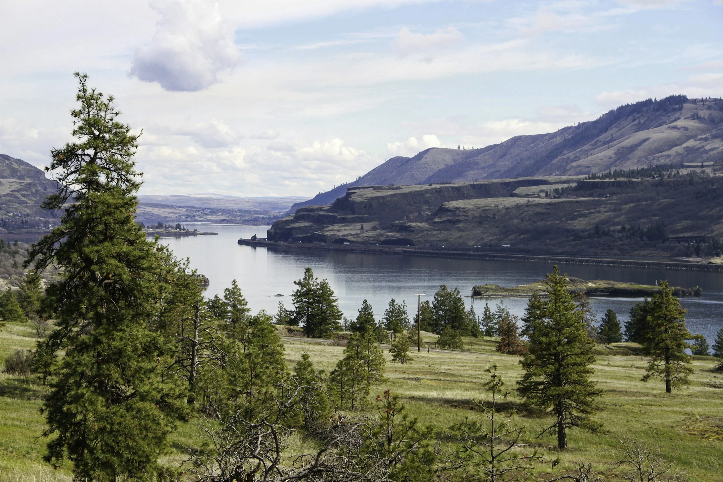 A scenic view of the Columbia River flowing through a valley, surrounded by green trees and rolling hills with mountains in the background under a partly cloudy sky.