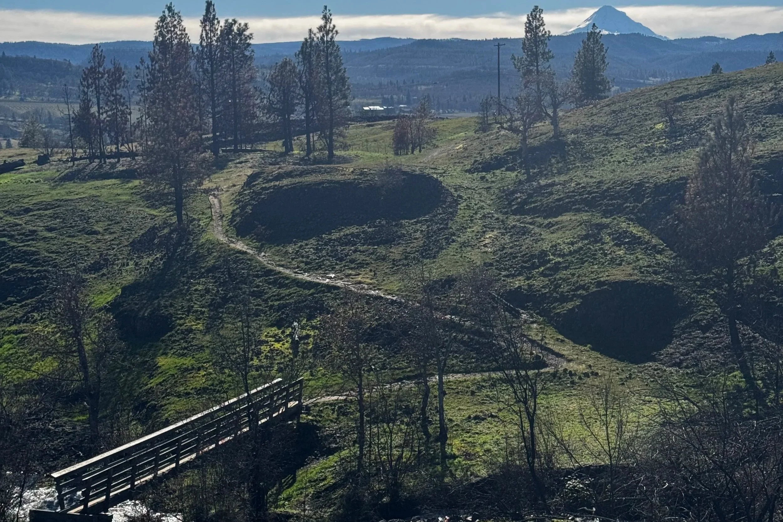 A scenic landscape of Catherine Creek Trail featuring rolling green hills with sparse trees, a winding dirt trail, a wooden fence, and distant mountains with a snow-capped peak under a partly cloudy sky.