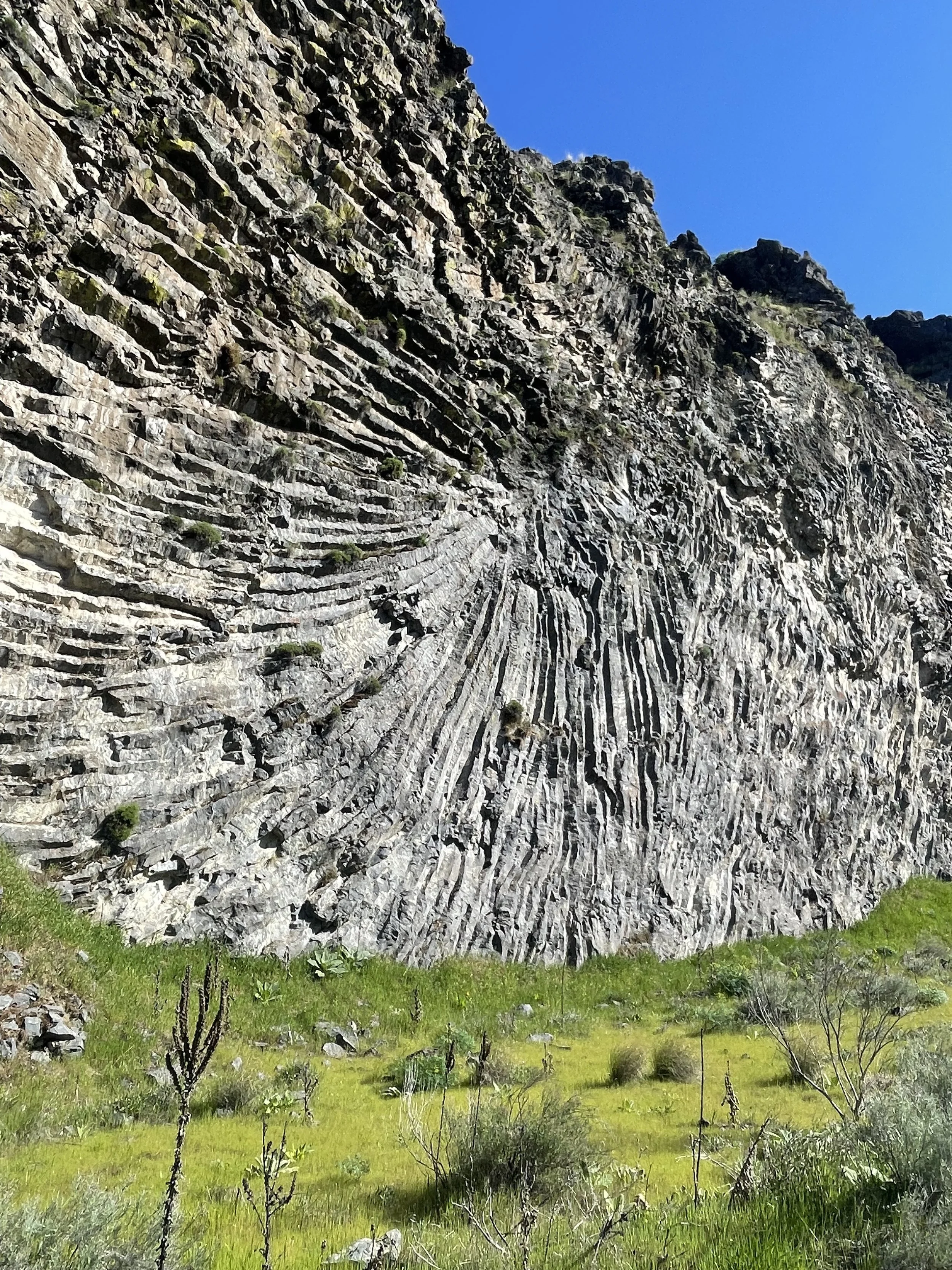A steep cliff in the Deschutes River State Park made of layered gray basalt rock towering above a lush green meadow with grass and small plants, under a bright blue sky.