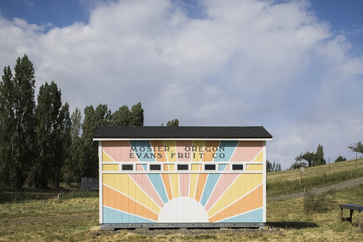 Colorful barn with sunrise mural and sign reading "Mosier, Oregon Evans Fruit Co." in a rural landscape with trees and grassy hills.