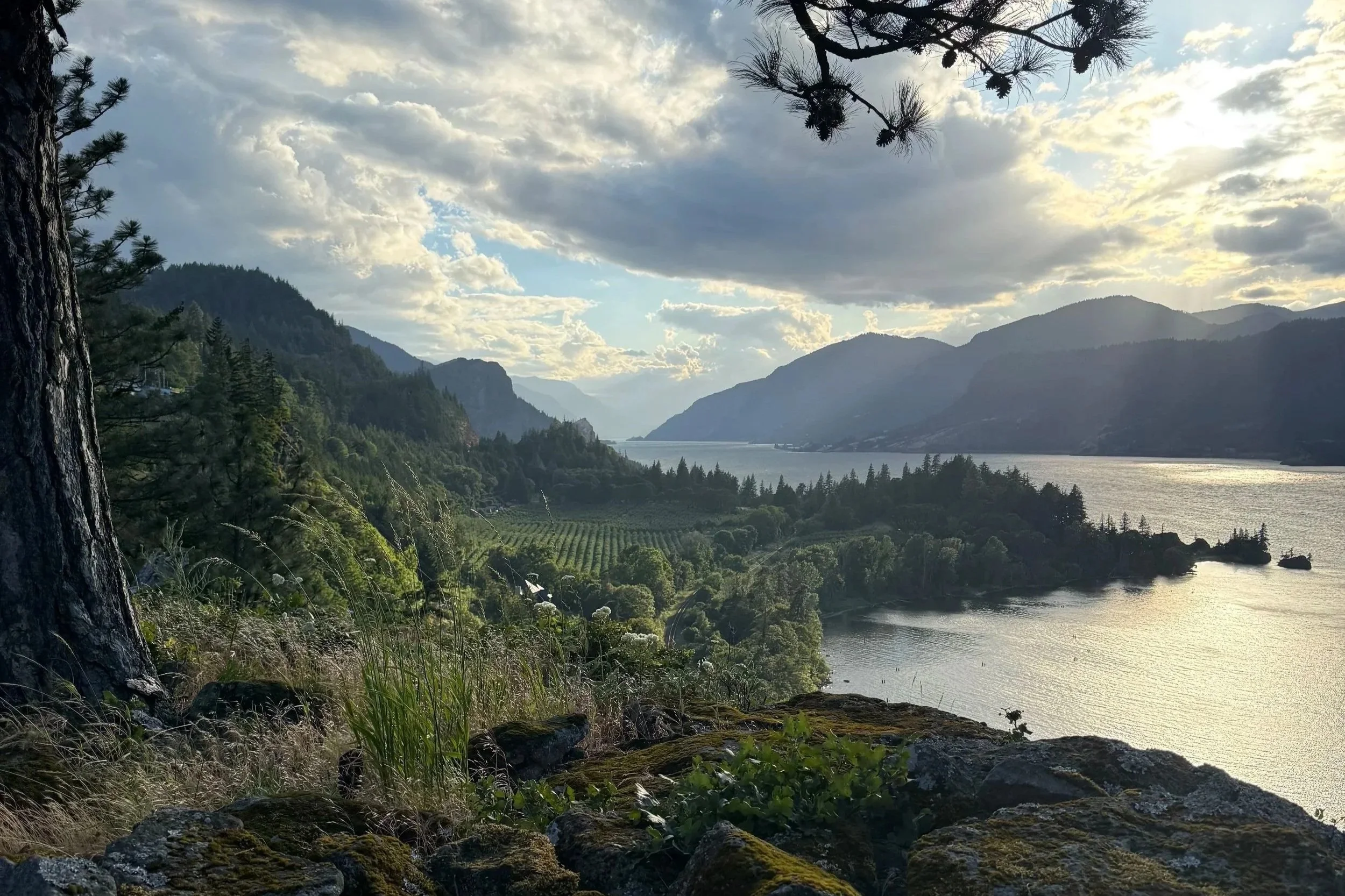 A scenic view of the Columbia River flowing through a valley surrounded by green mountains under a partly cloudy sky, with a tree and rocks in the foreground.