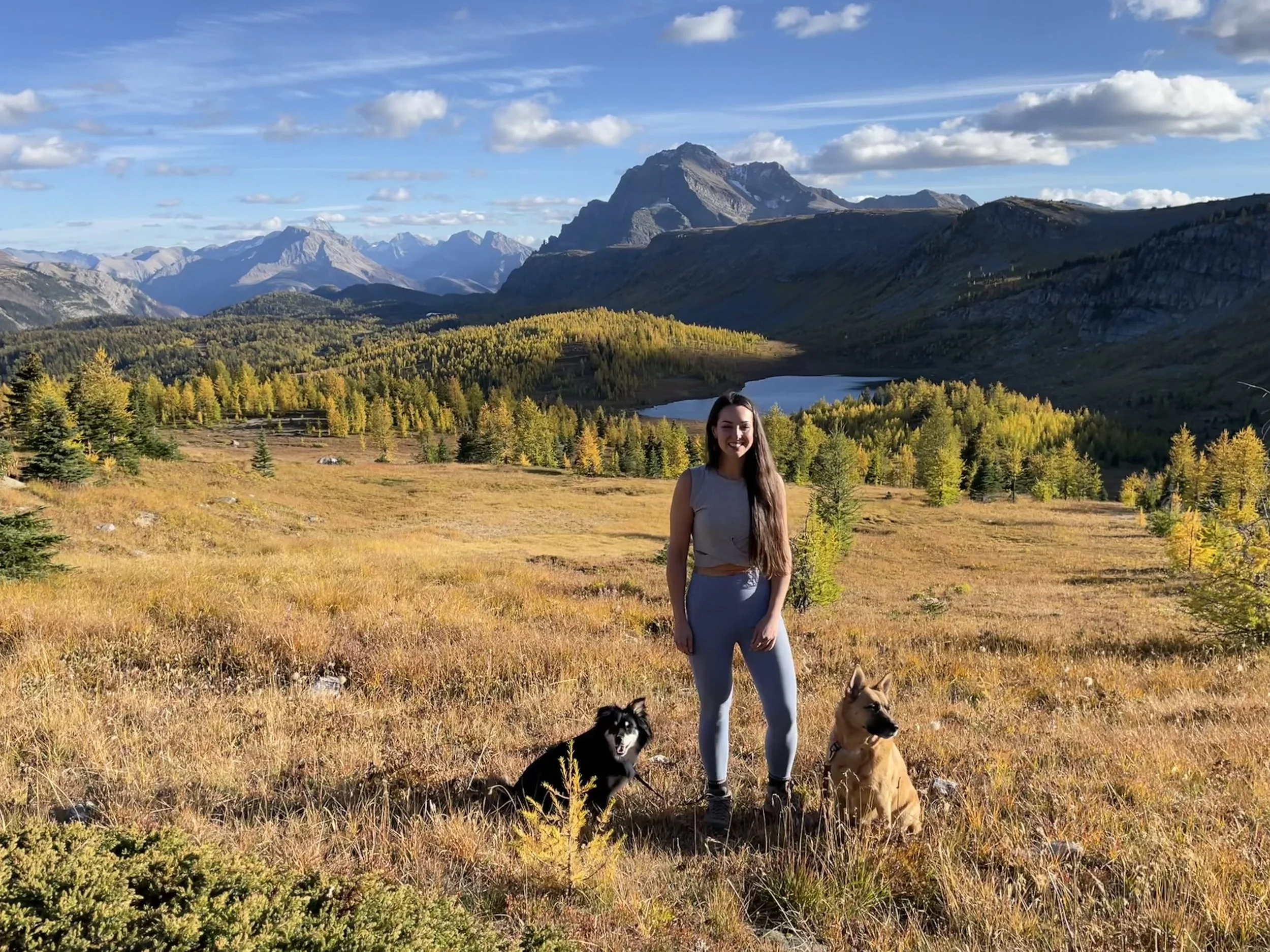 A woman standing in a grassy field with two dogs in front of a mountain landscape in Banff National Park with golden larch trees, a lake, and mountain peaks under a partly cloudy sky.