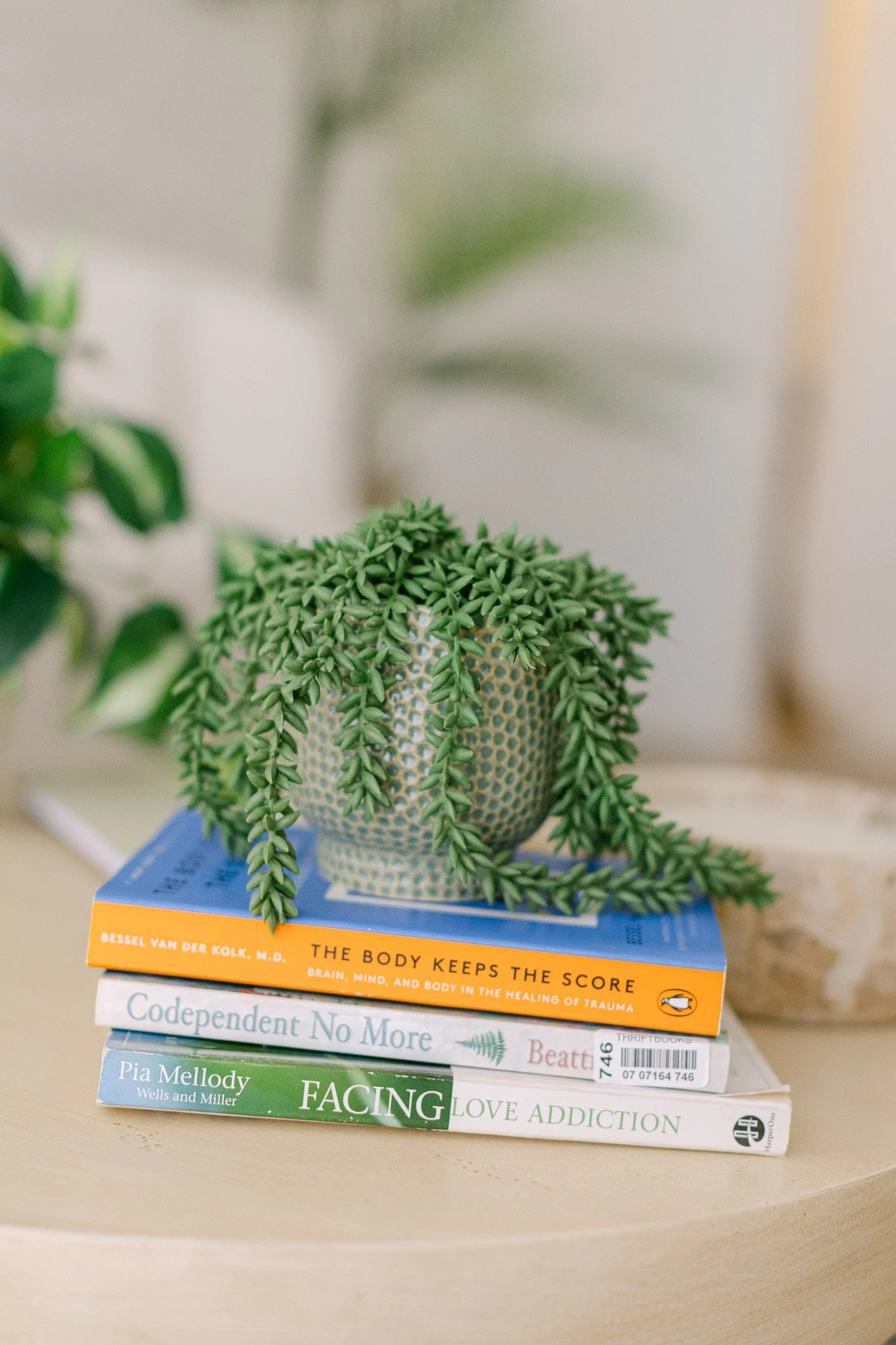 Stack of five books on a table with a green vining plant in a white basket on top.