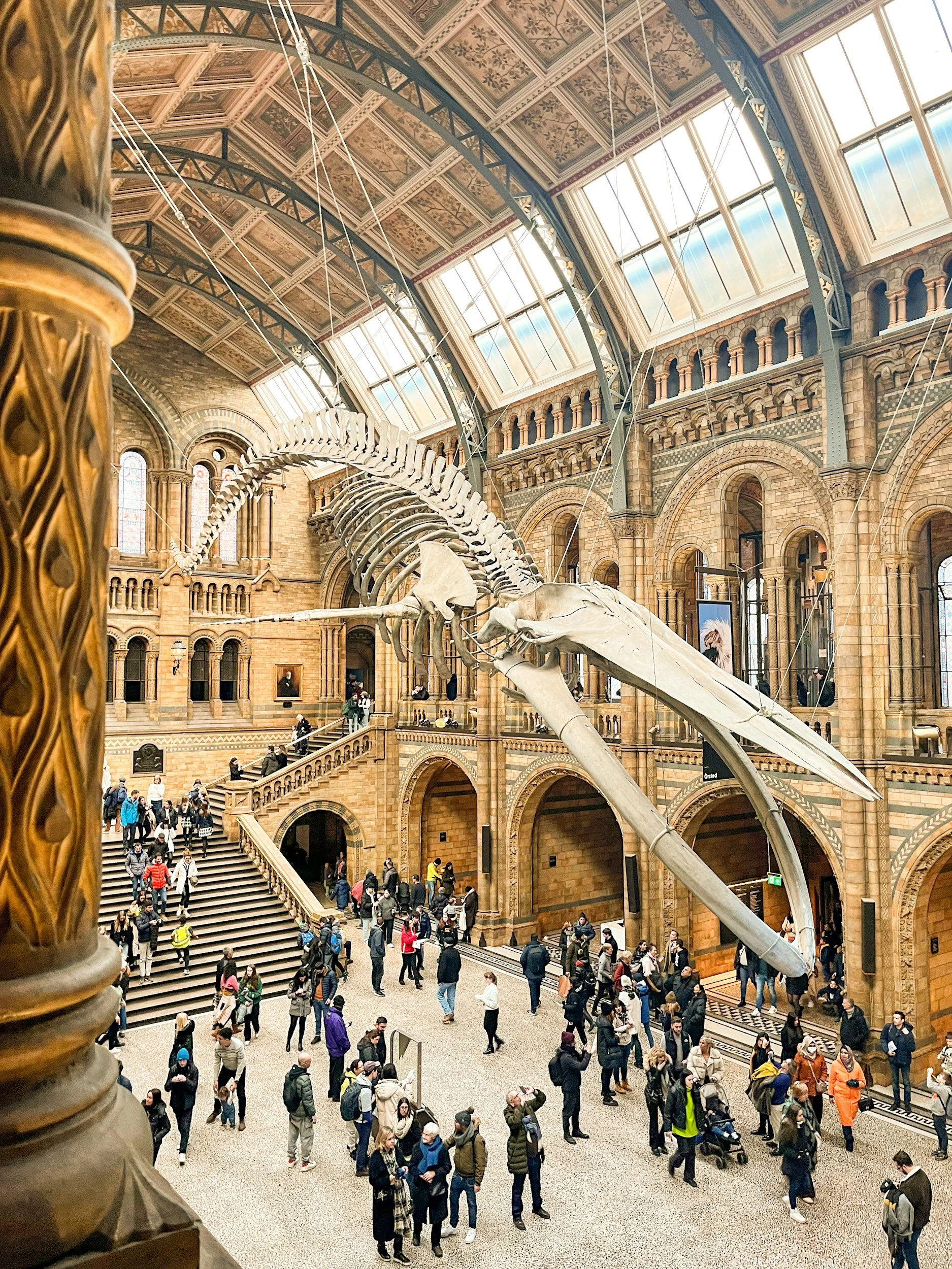 School Trip: Natural History and Science Museum