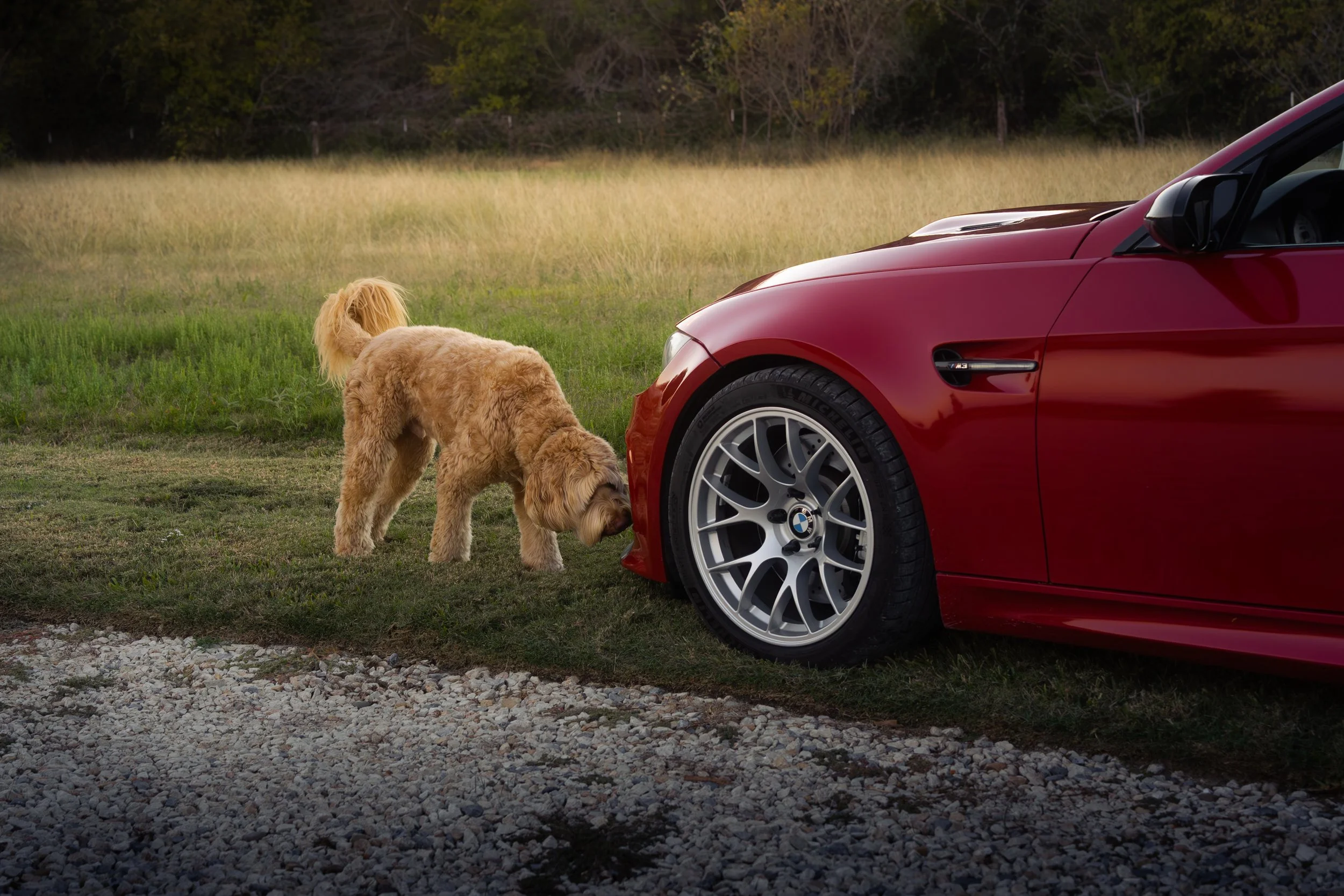 2009 BMW M3