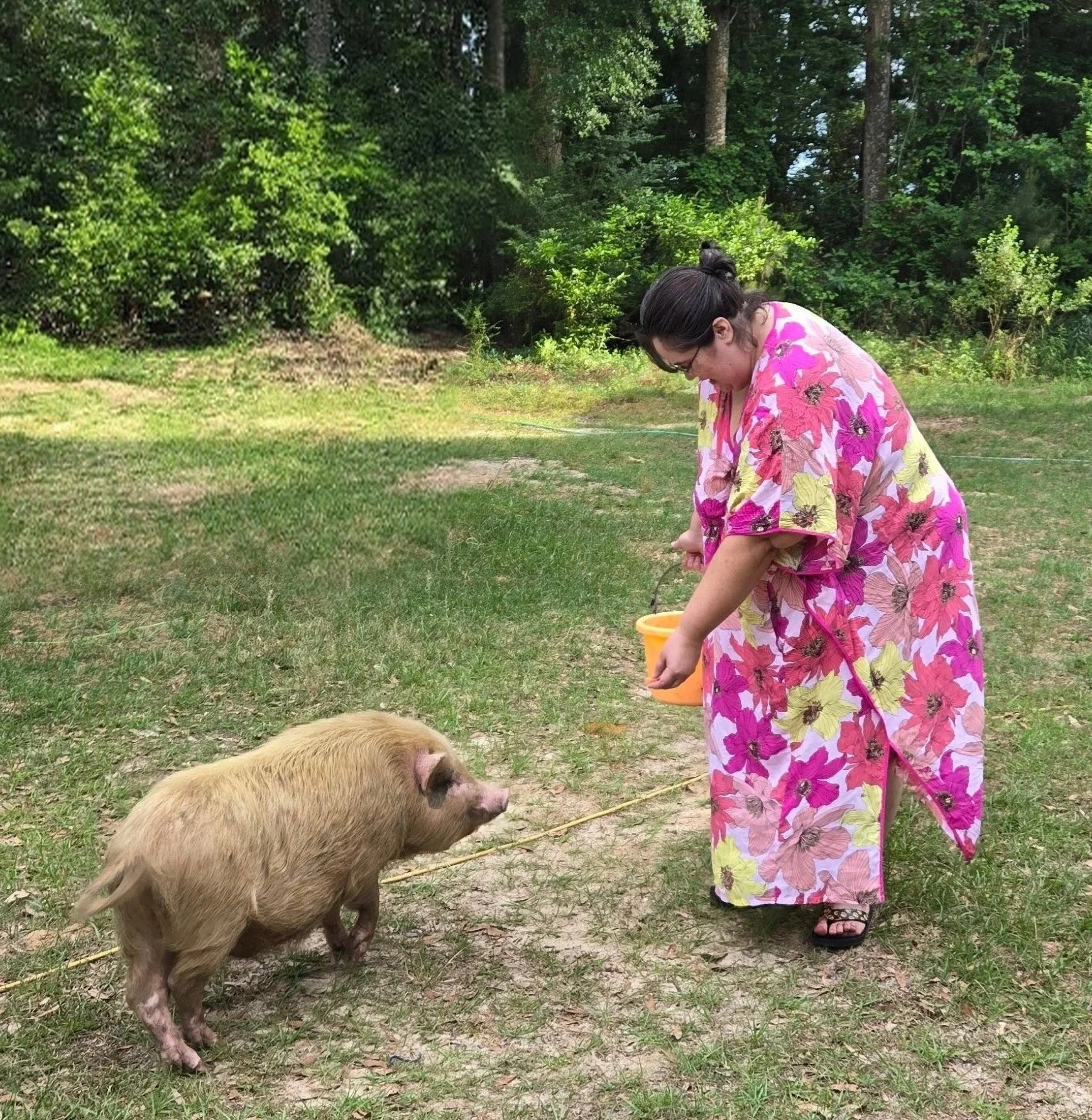 When Your Pet Helps You Heal: A Guide to Emotional Support Animals (and ESA Letters)