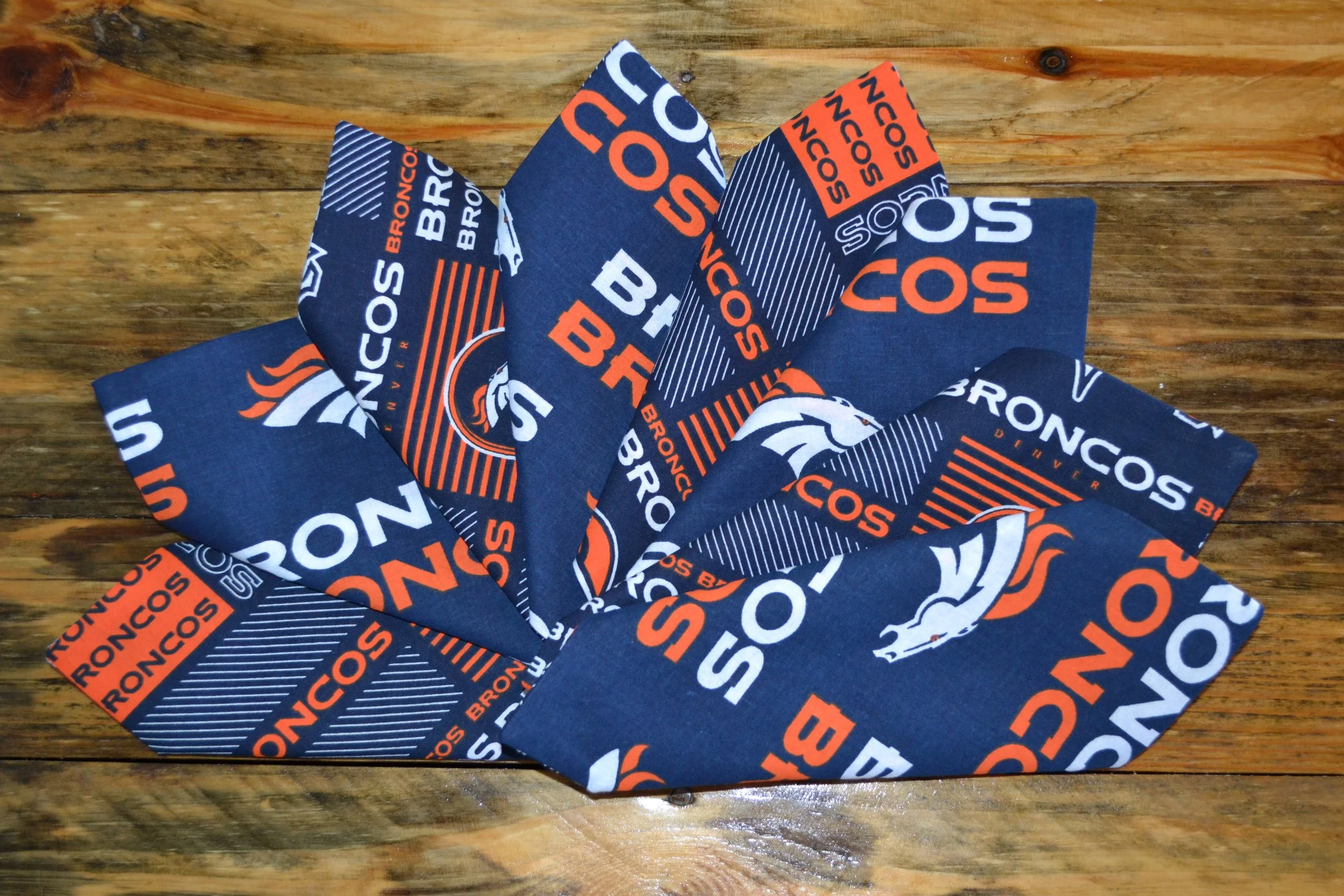 Broncos 4.JPG