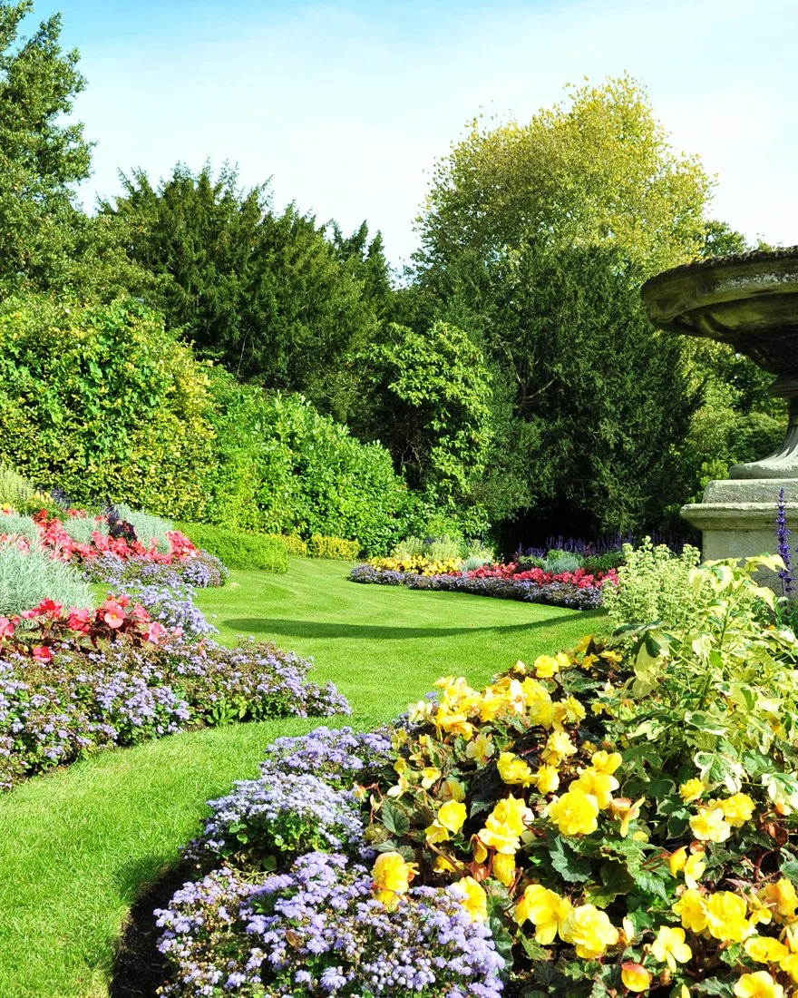 A vibrant garden with blooming purple, yellow, pink, and red flowers along a neatly manicured green lawn, with dense bushes and tall trees in the background under a clear blue sky.