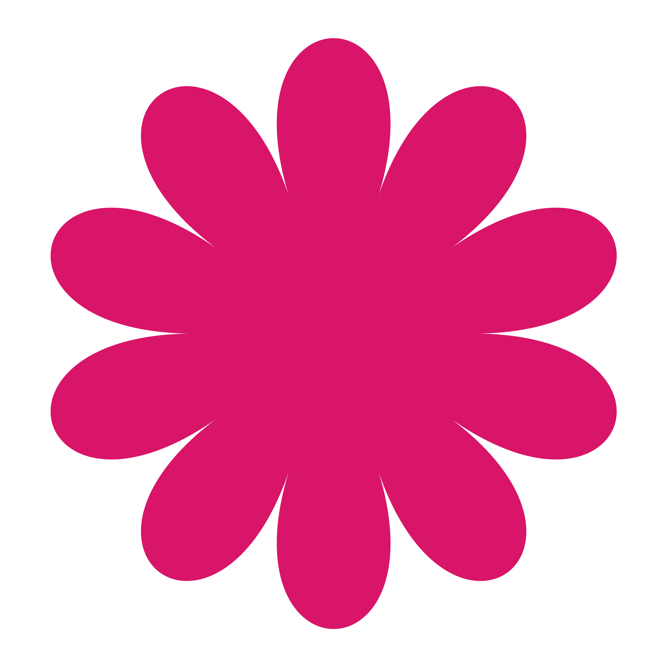 fleur rose
