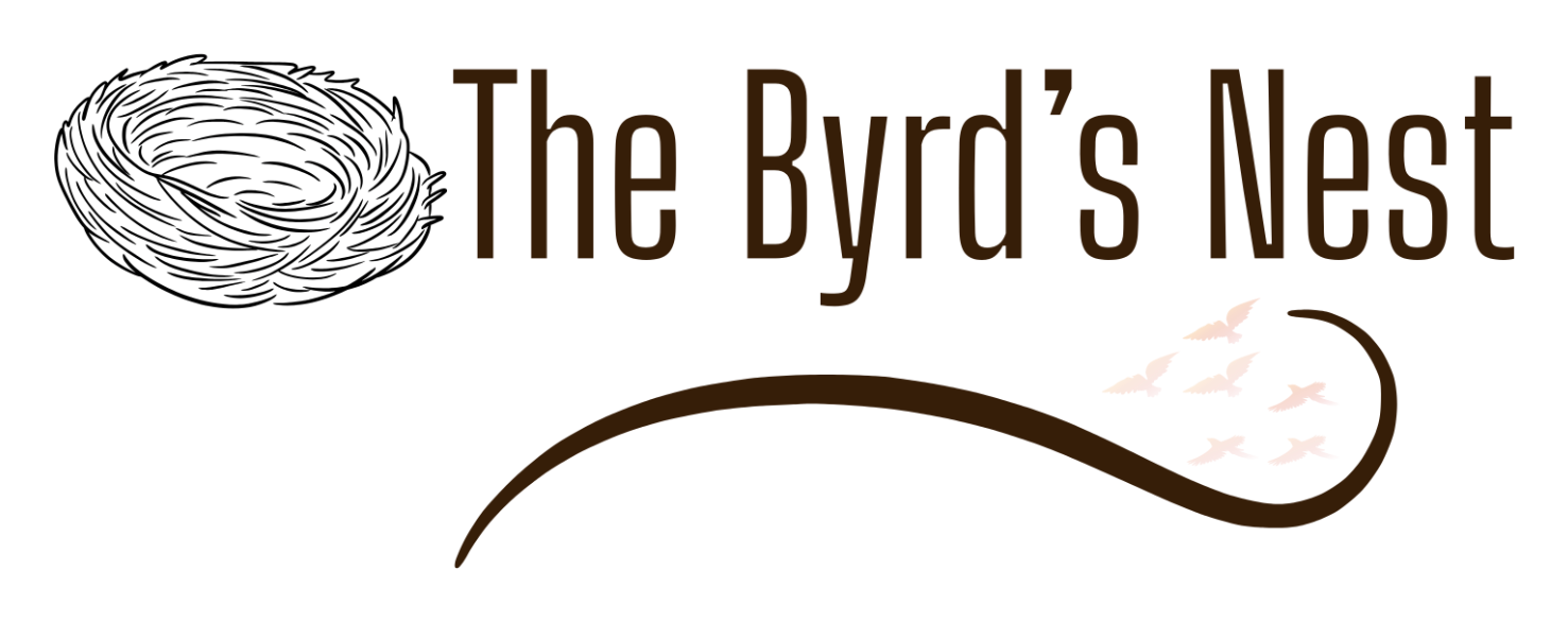 Logo for The Byrd's Nest, featuring a stylized bird's nest, a flying bird graphic, and text.