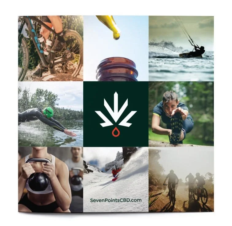 COVER DESIGN FOR THE SEVEN POINTS CBD BROCHURE