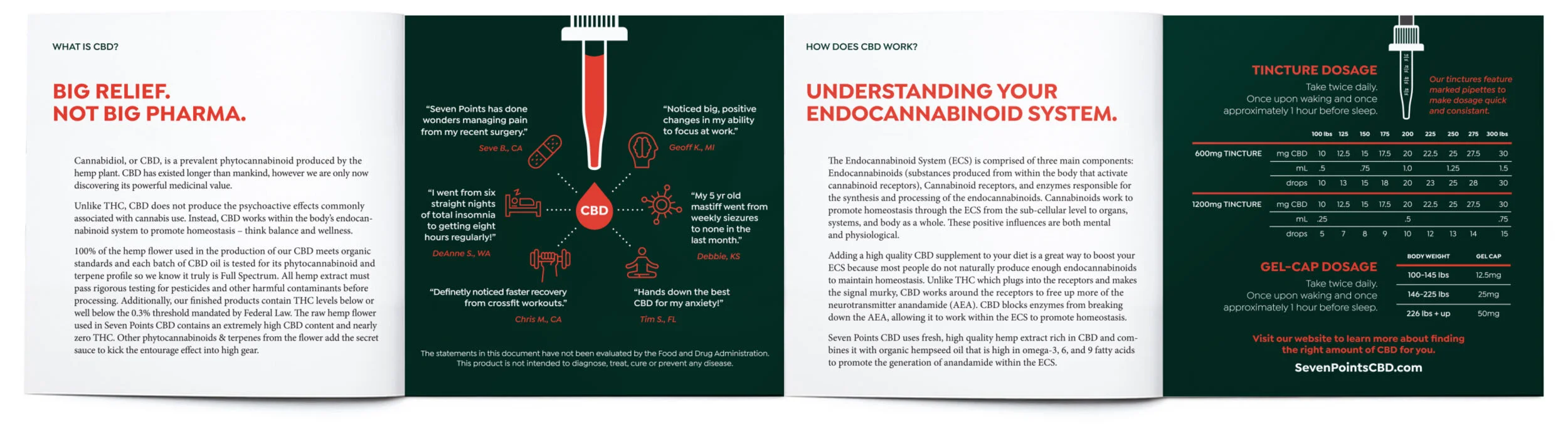 brochure-open.jpg