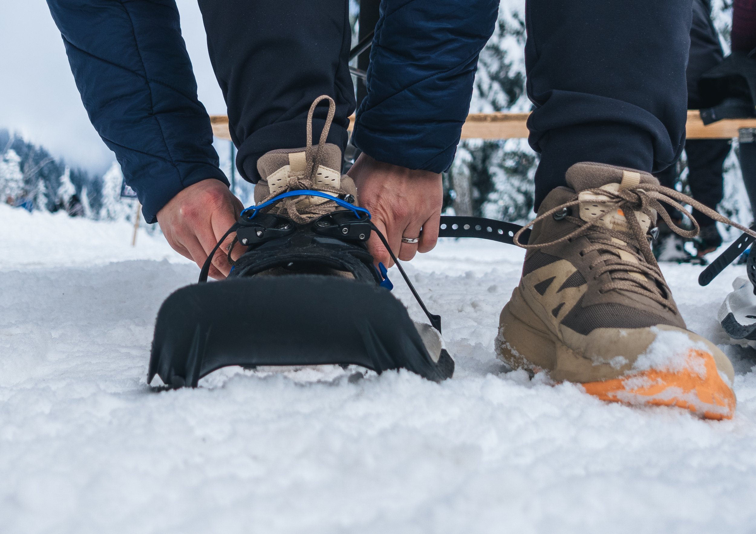 SNOWSHOEING IN VANCOUVER