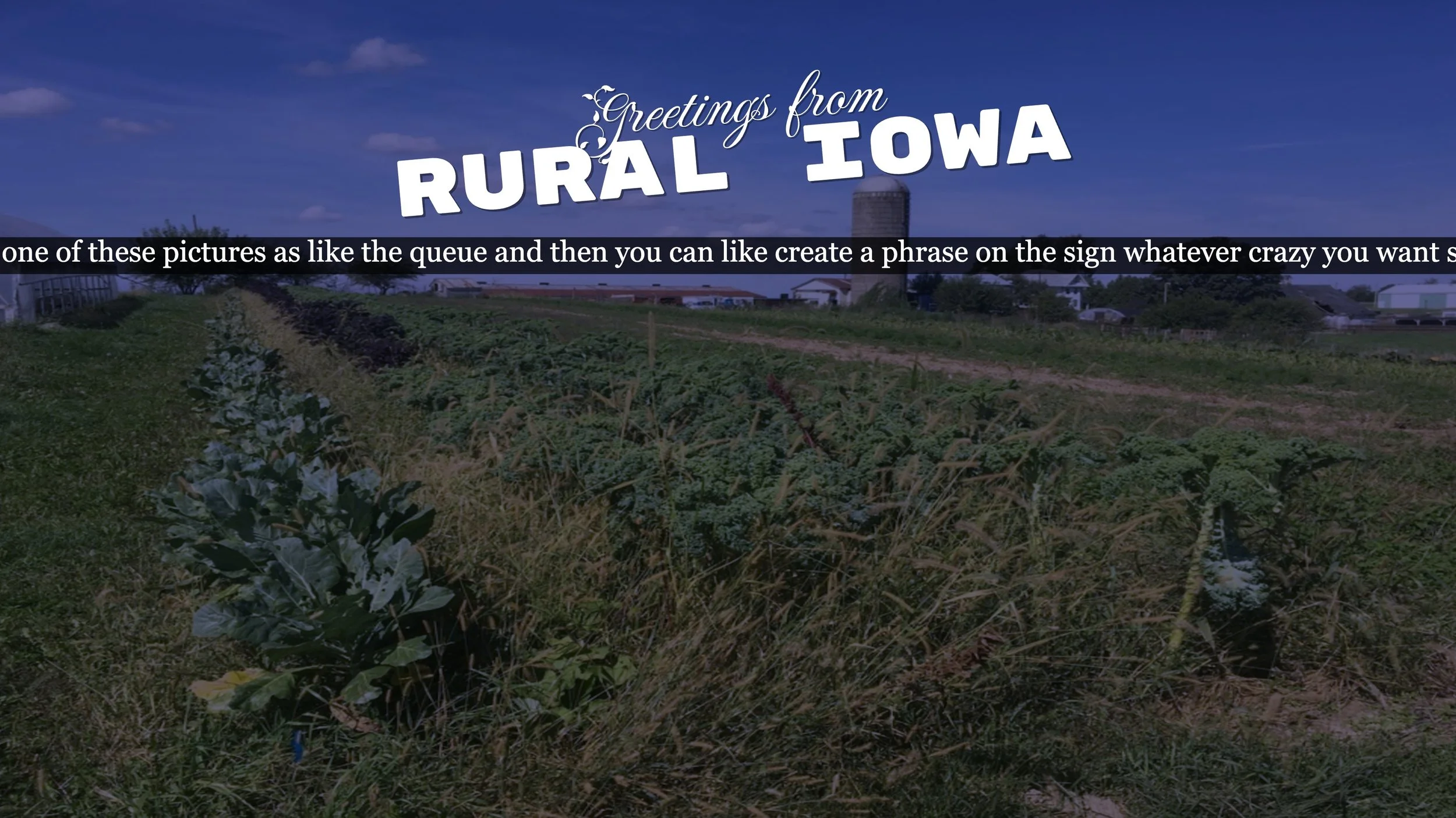 A postcard from Rural Iowa showing a farm field