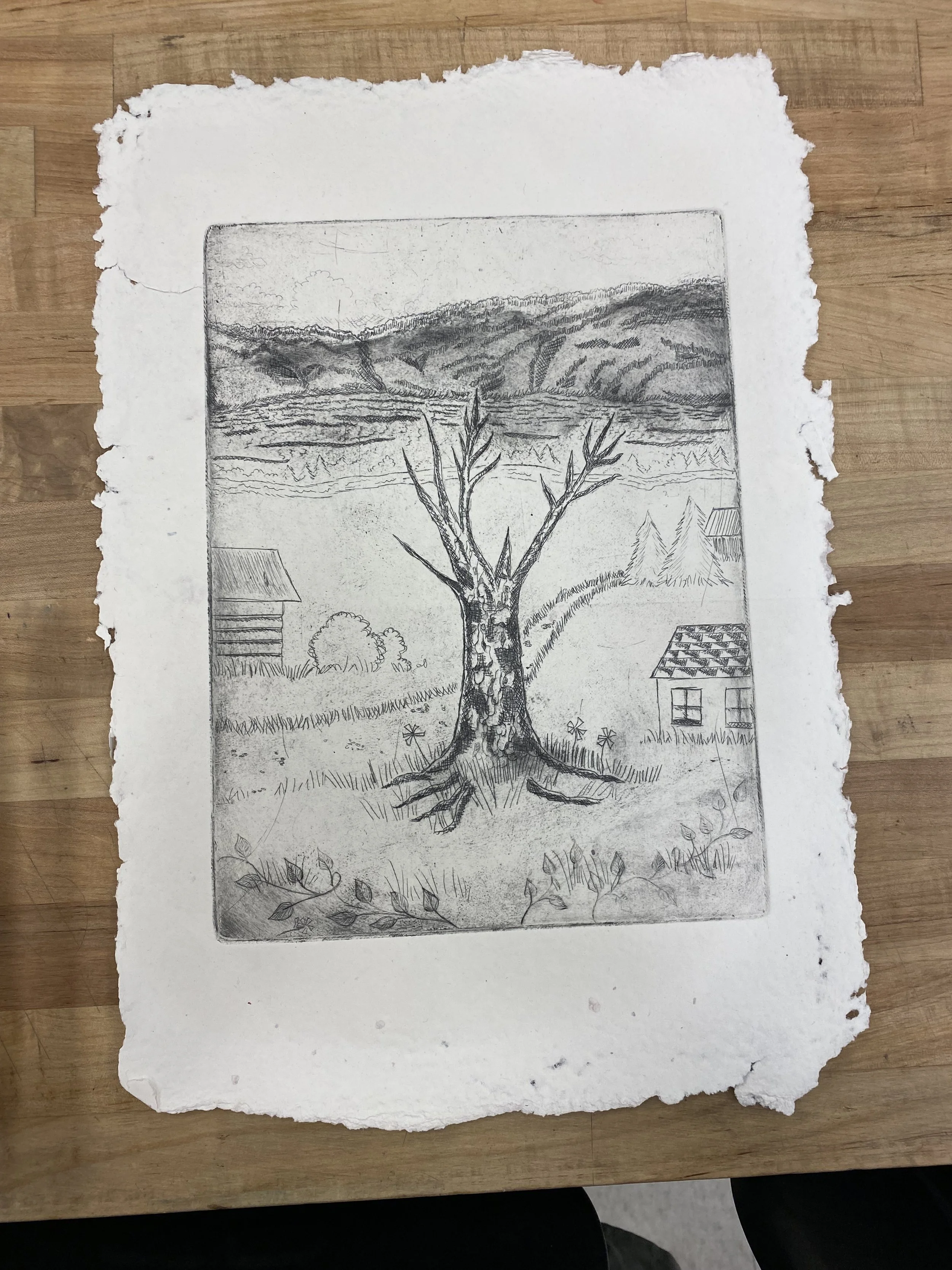 Black and white intaglio print of a tree on handmade paper