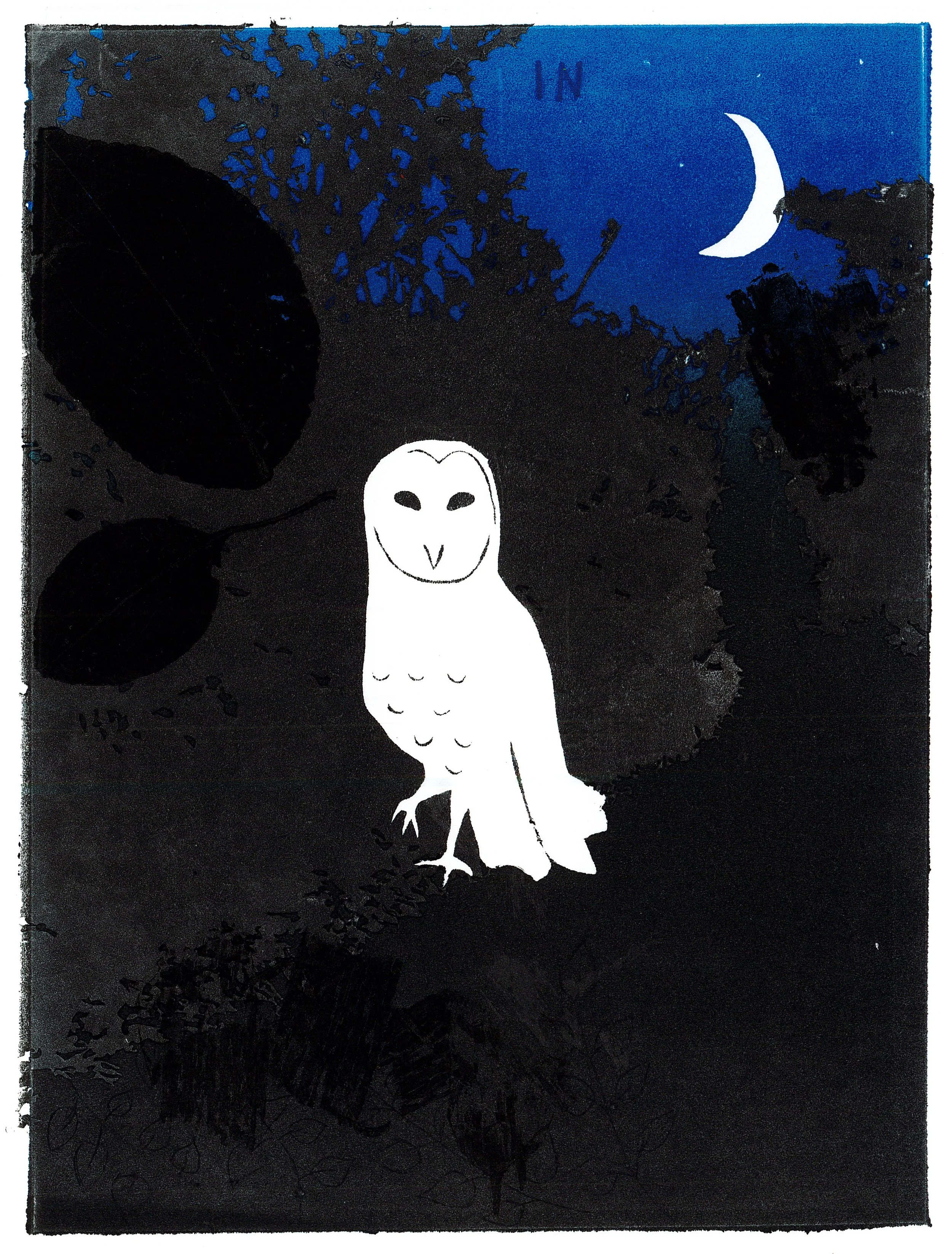 Owl print with blue and black sky, white moon, and white barn owl