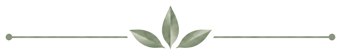Decorative light green border with three overlapping leaves in the center