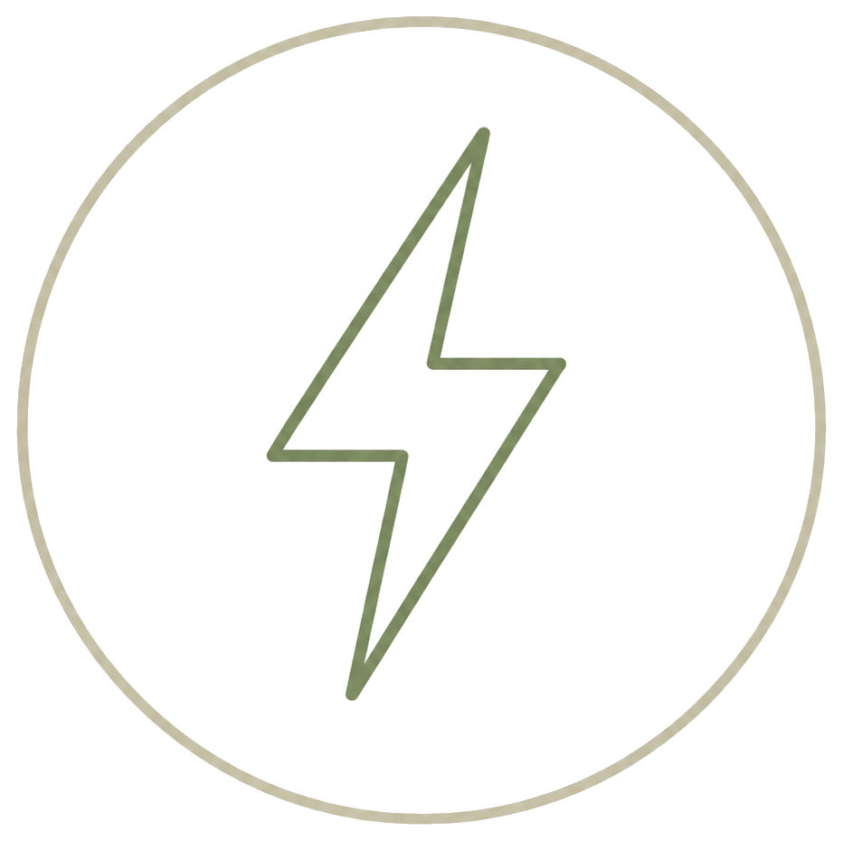 Line drawing of a lightning bolt inside a circle.