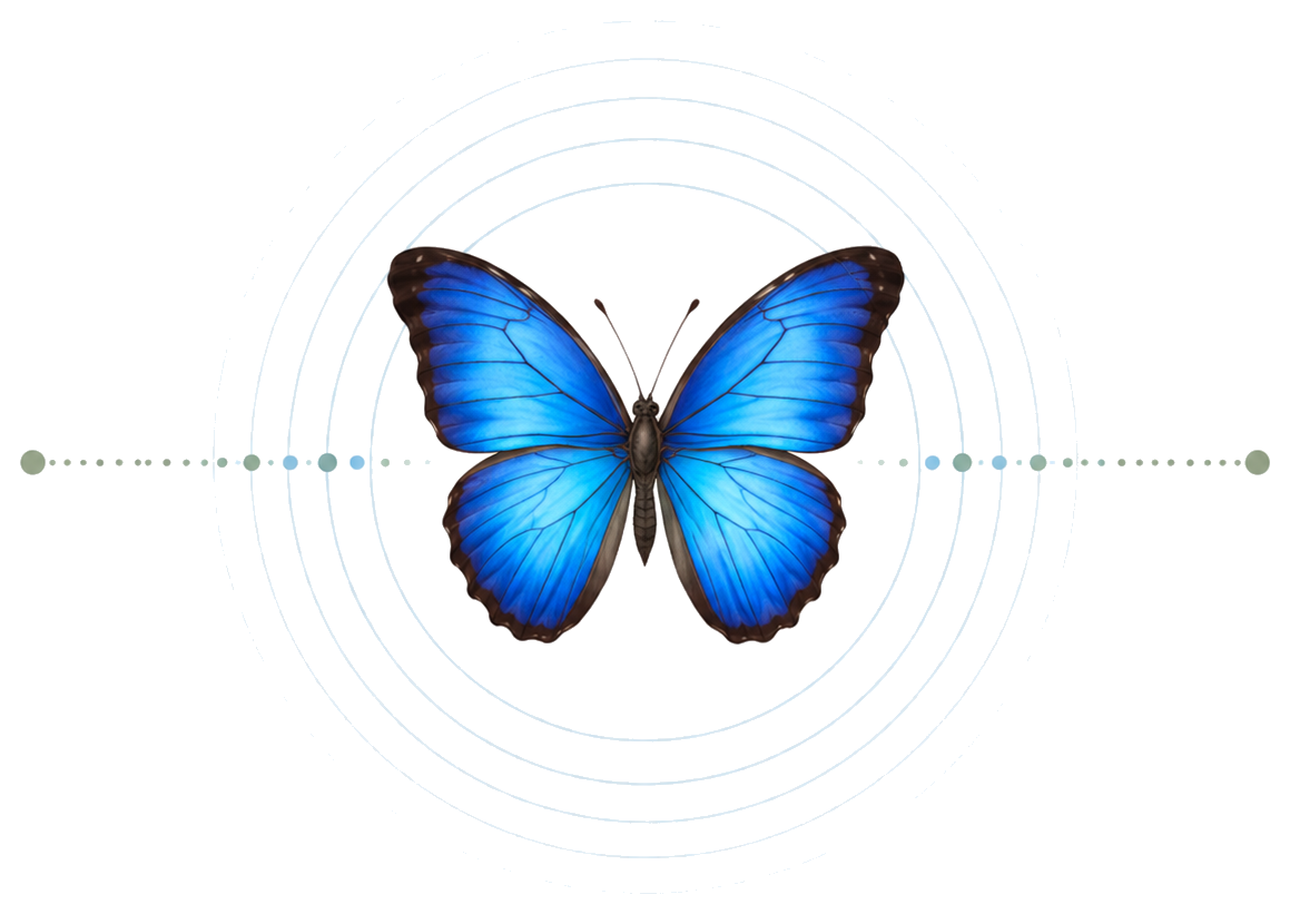 A vivid blue butterfly with black edges on its wings, perched with its wings open against a light background.
