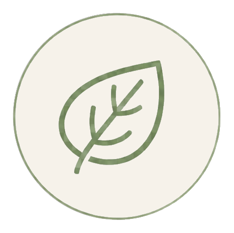 Simple green line drawing of a leaf inside a circle.