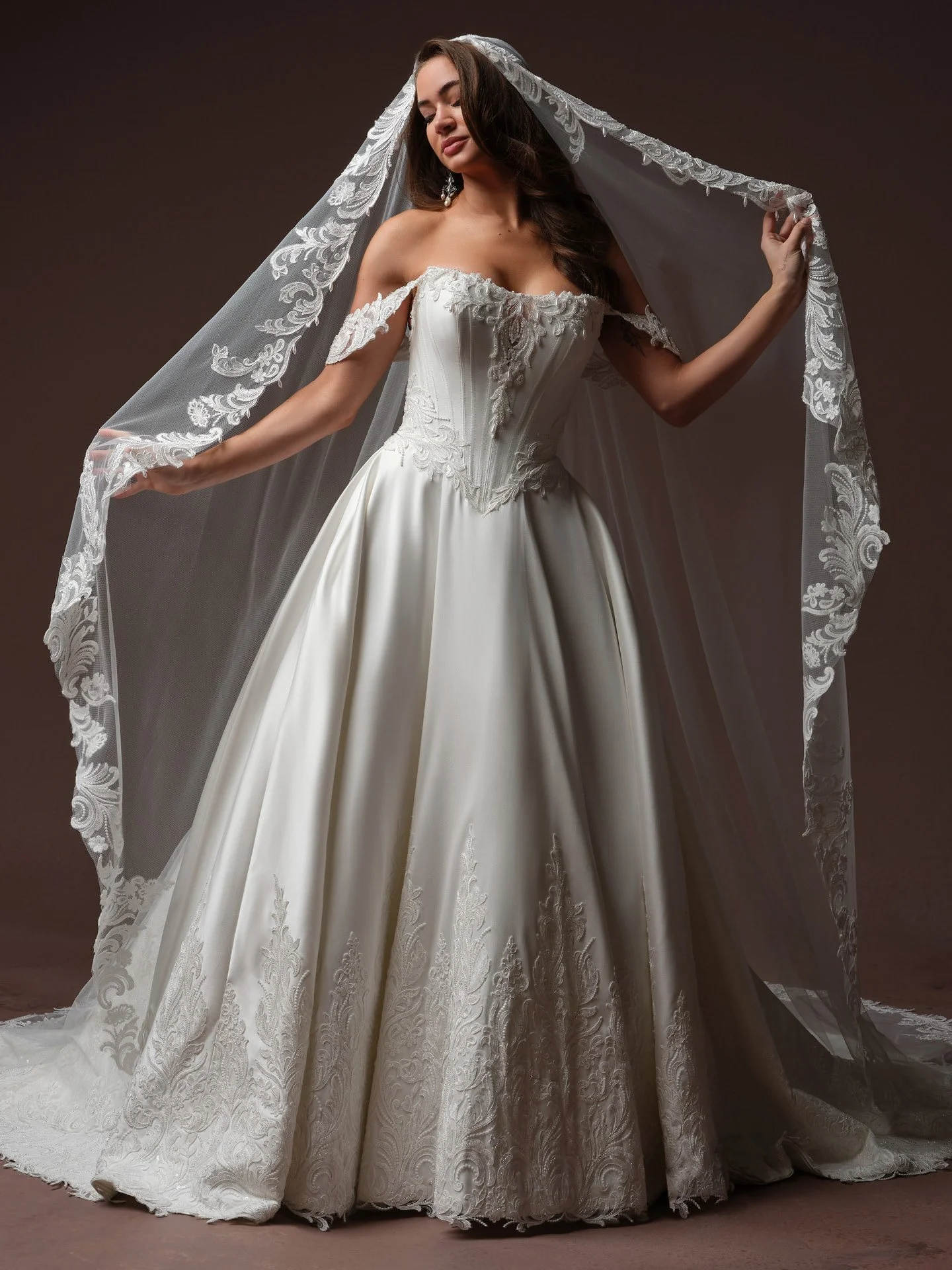 Sottero-and-Midgley-Sandrine-Ballgown-Wedding-Dress-F6SZ070A01-Alt53-IV002.jpg