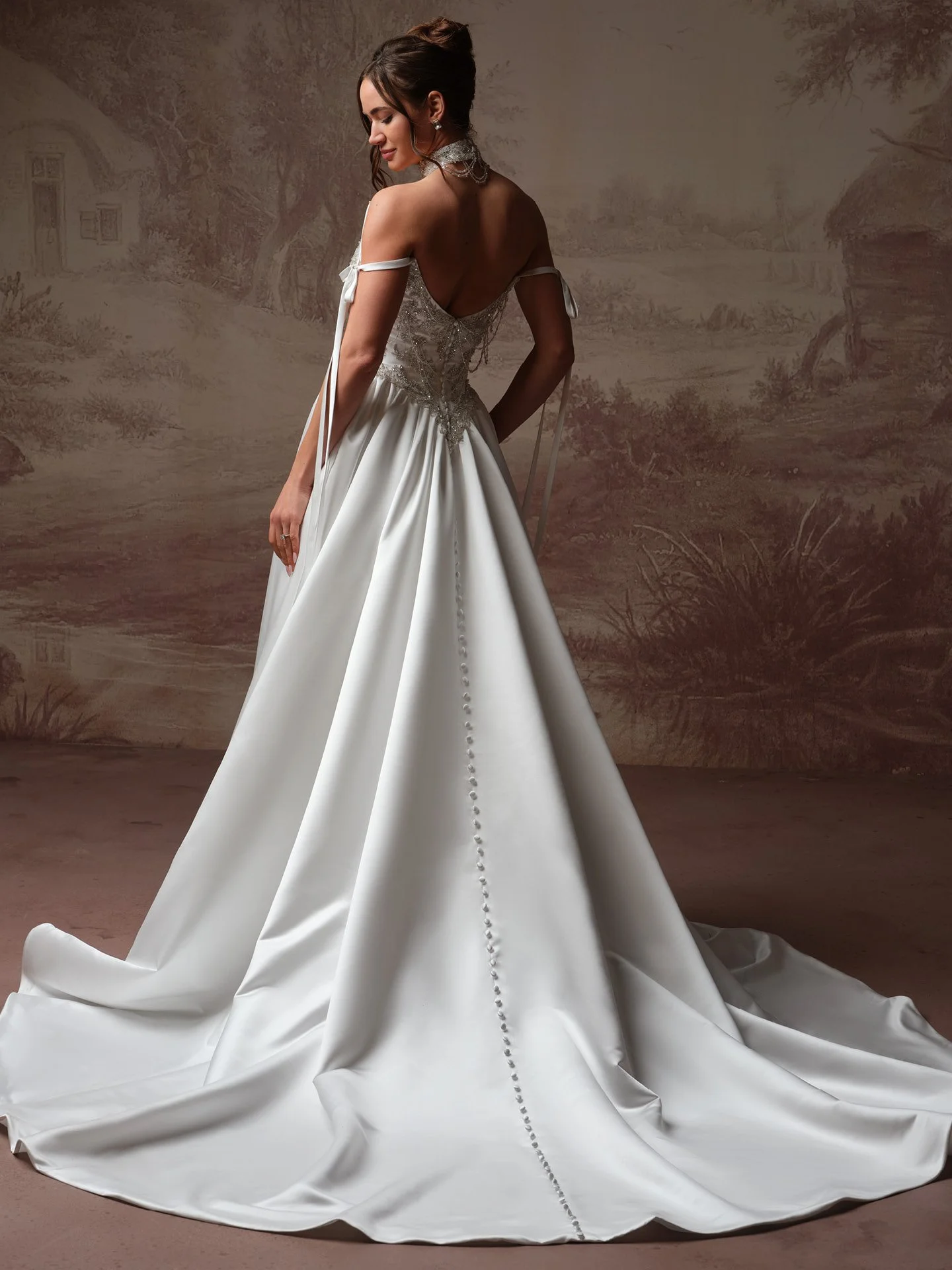 Sottero-and-Midgley-Aelarion-A-line-Wedding-Dress-F6SK059A01-Alt55-IV004.jpg