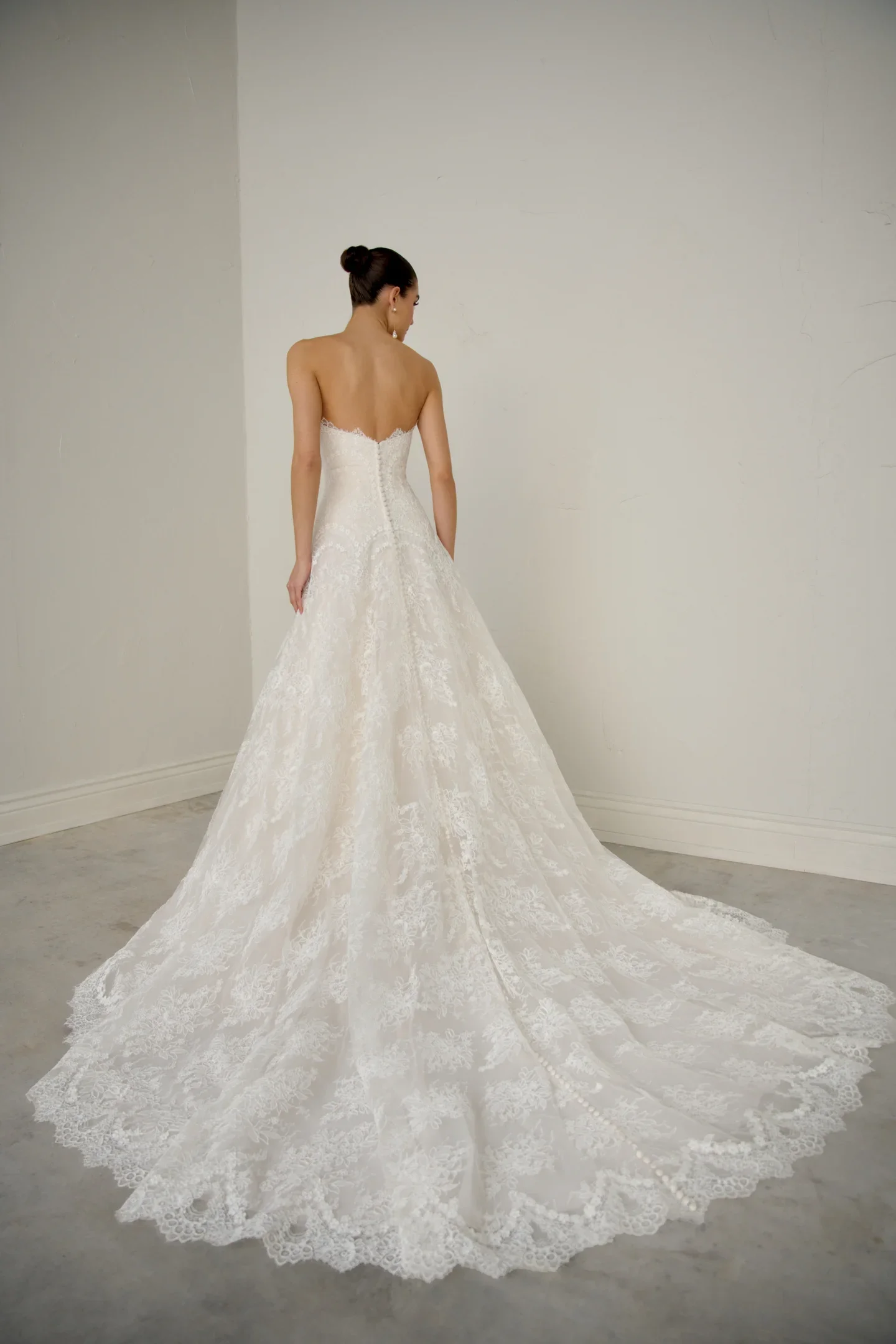 Tessera Back.webp