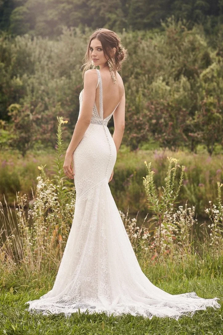 66136 Back.jpg