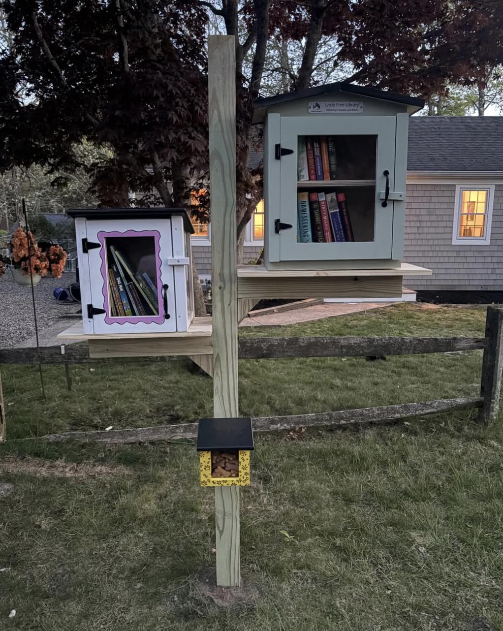 Two small outdoor library cabinets on a wooden post, one is white with purple trim and the other is sage green, each filled with books.