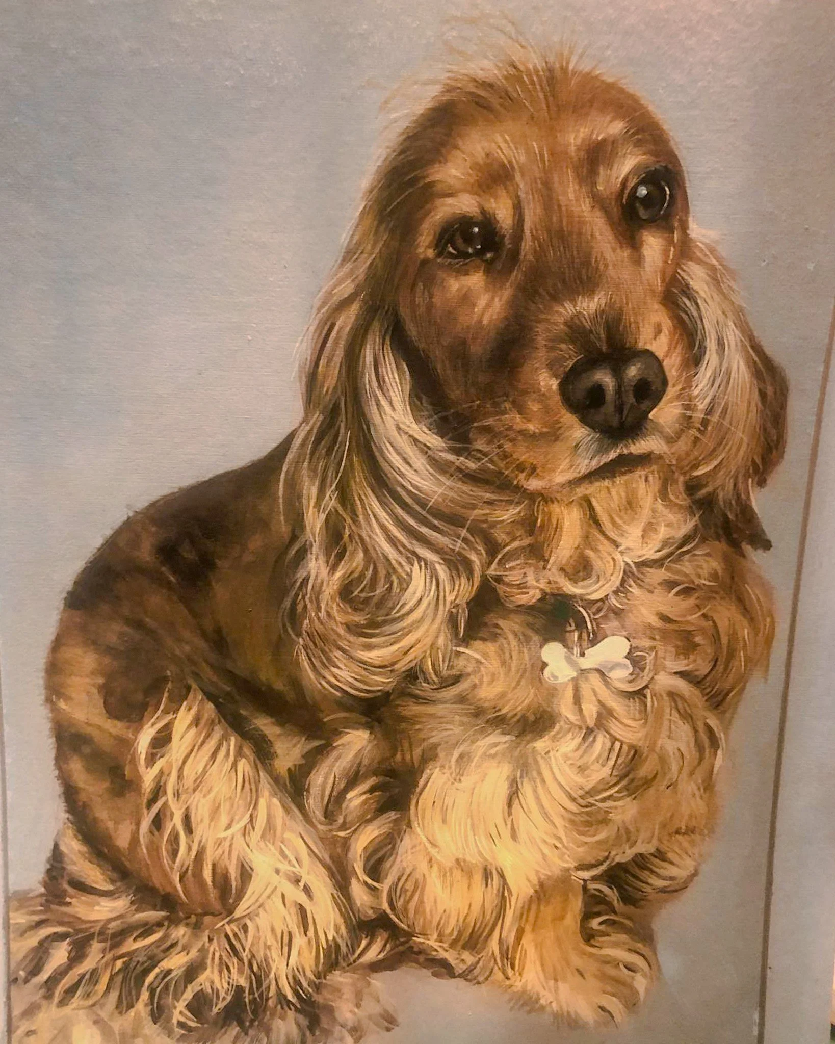 ginge dog.jpg